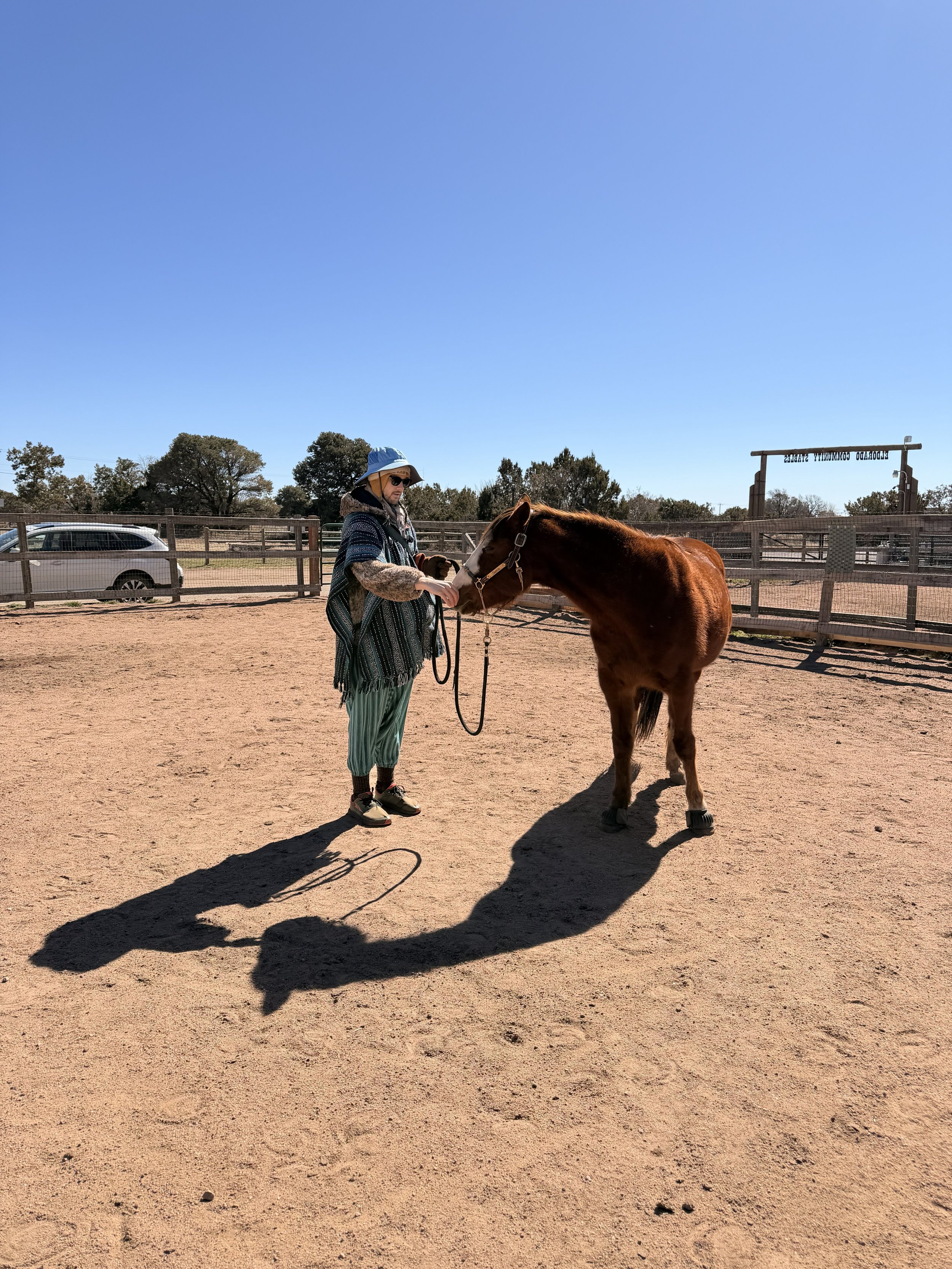 Animal Telepathy_Stevie.jpeg