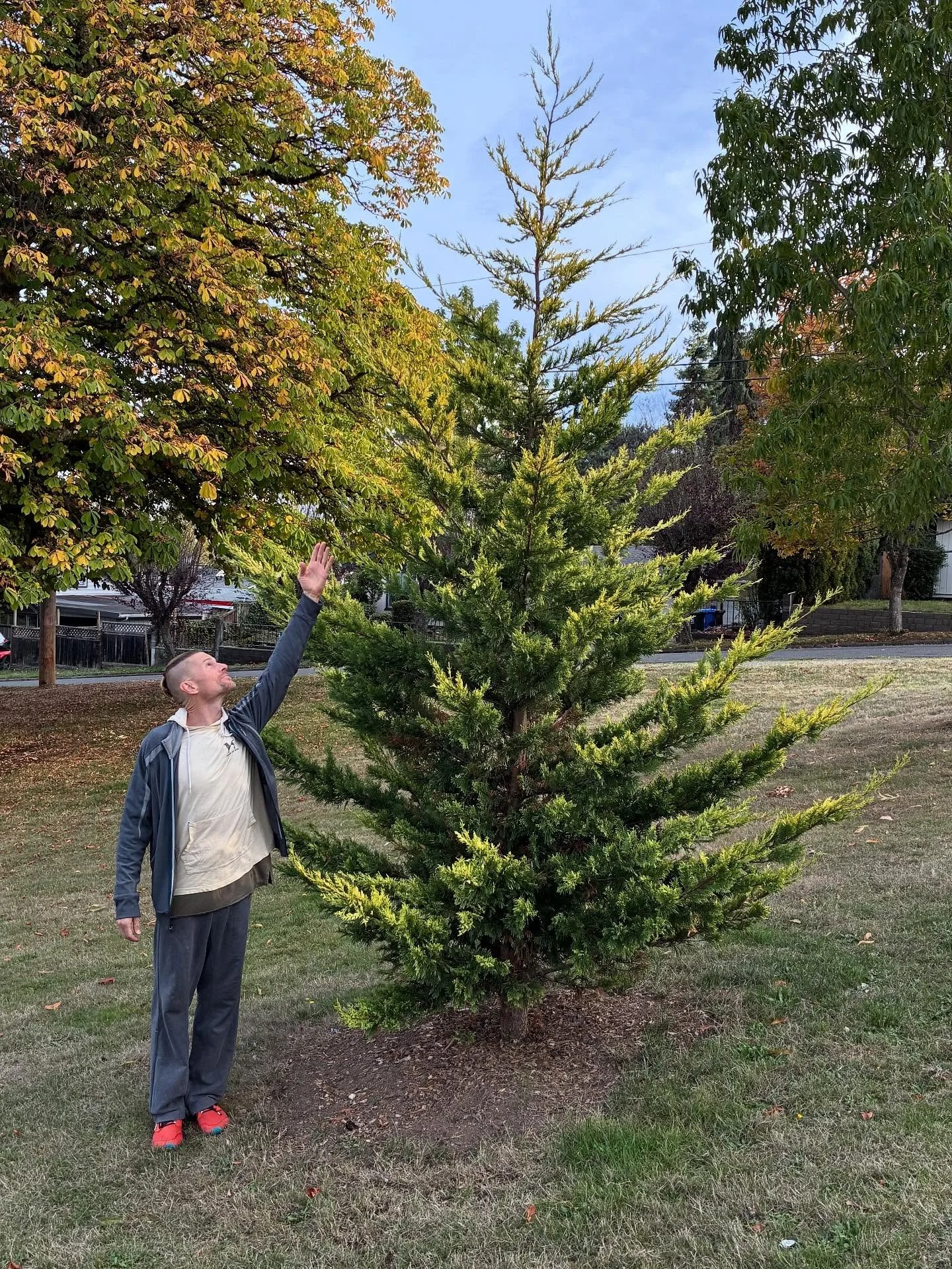 Annual Birthday Visit to OuR plant babies 💚 taCOMA&rsquo;s hiSTORY is one of profiteering, greed, expulsion of community groups, and deforestation beyond logical comprehension {in 2Day&rsquo;s ReTroReFlection}:. @ Alling Park in taCOMA&rsquo;s South