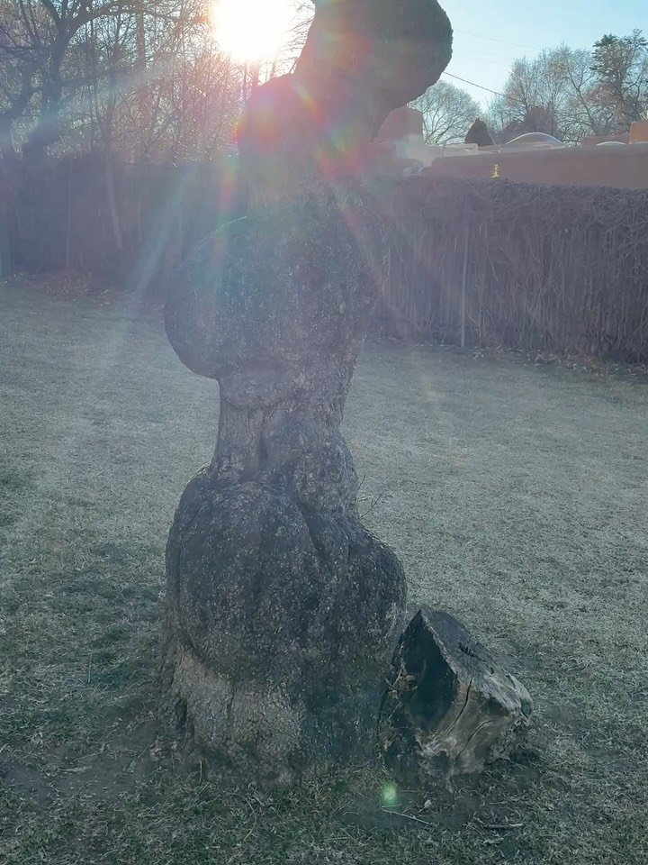 Light Work:. Santa Fe Addition | Grounded Ancestral Lymphoma Narratives | Met The Trees | Unlocked Animal Telepathy through The Equines | Met St. Francis | Communed with Gene Hackman in Spirit | Visited Volcanic Craters | Experienced Ancient Pyramids