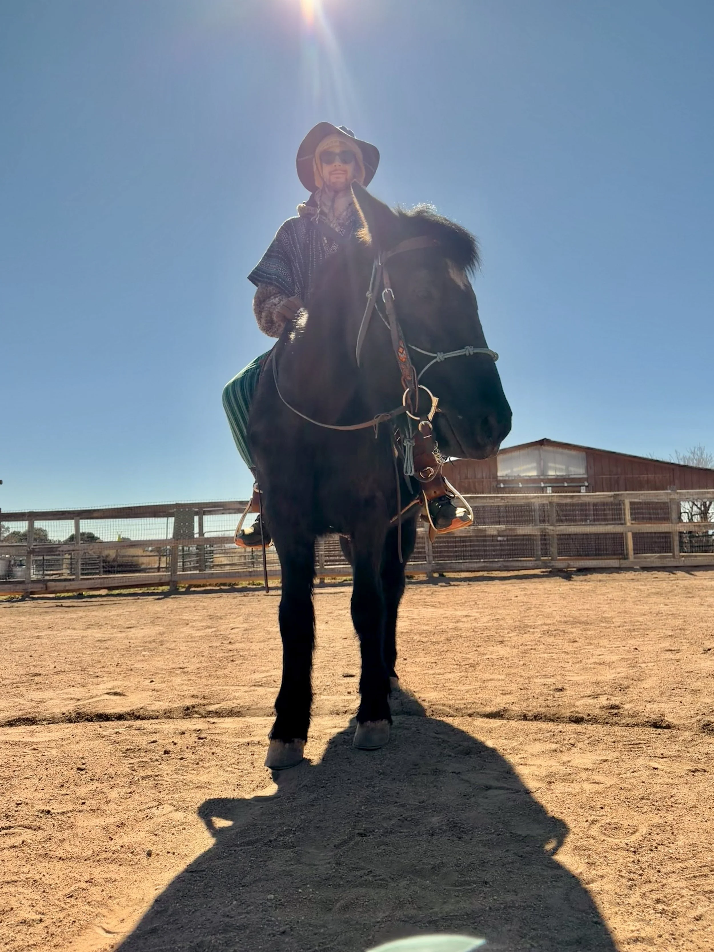 Animal Telepathy_Tara.jpeg