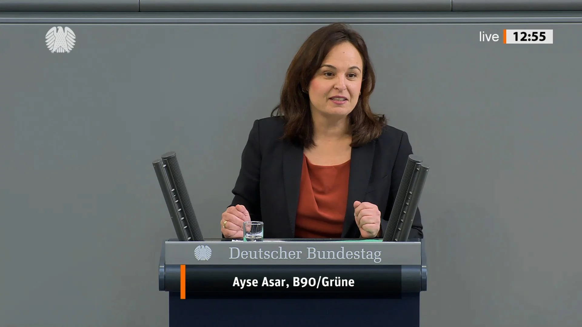 "Rückwärtsgewandte Politik" Harsche Bilanz der EFI (Rede im Bundestag)