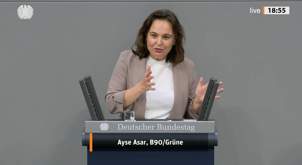 “Ein Brandstifter schützt kein Denkmal” (Rede im Bundestag) 