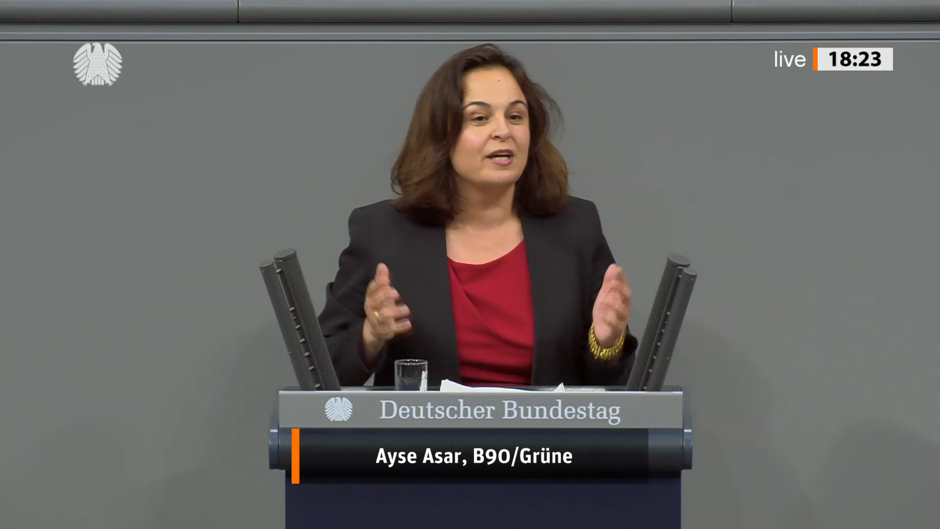 Vielfalt statt Kahlschlag: Warum kleine Fächer so wichtig sind (Rede im Bundestag) 