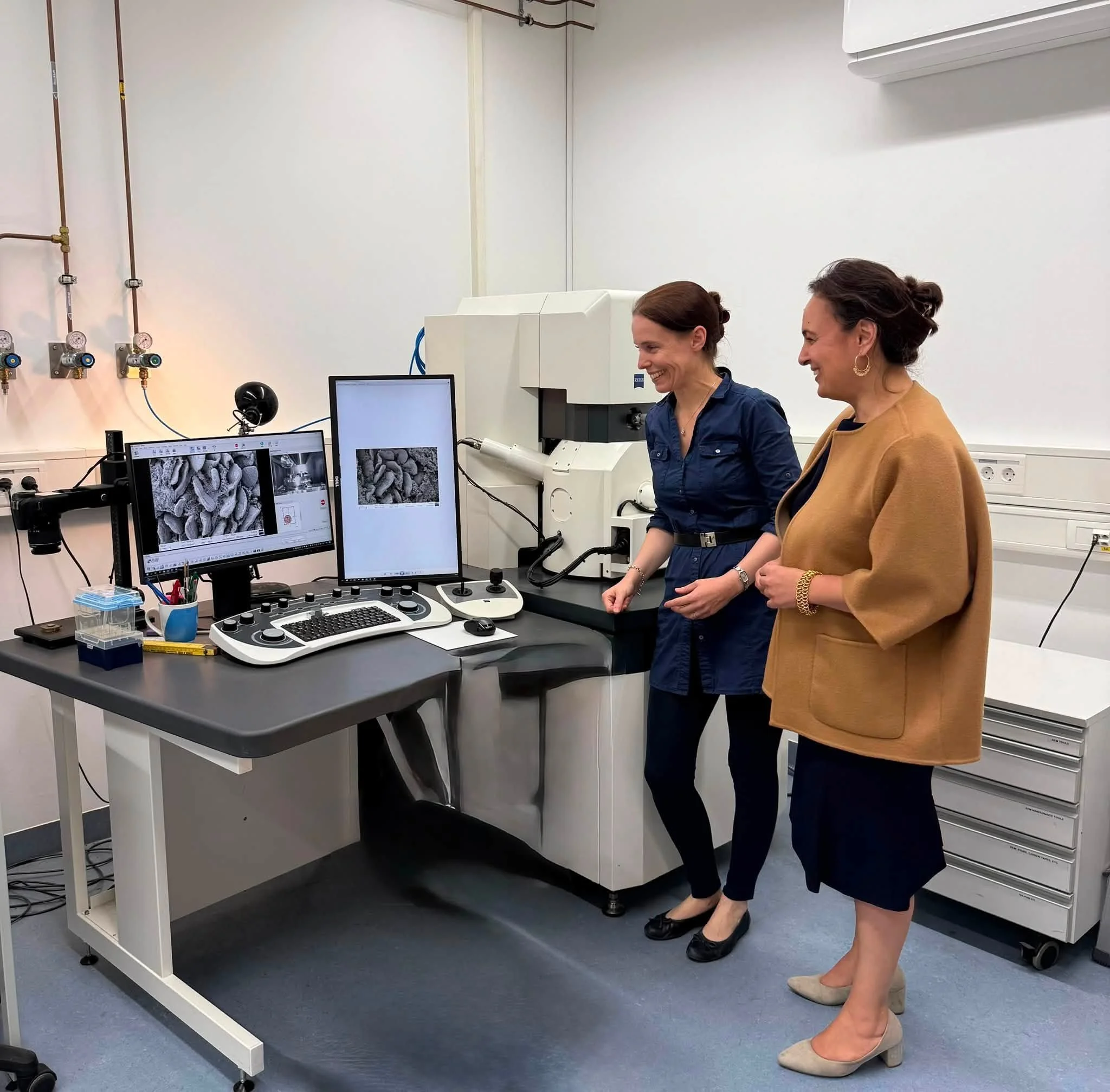 Zu Besuch an der Goethe-Universität Frankfurt im Labor von Prof. Dr. Maike Windbergs. Ihr Schwerpunkt: Die Entwicklung von 3D-Gewebemodellen und Organ-on-a-Chip-Systemen.