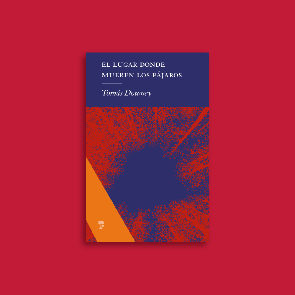El lugar donde mueren los pájaros | Tomás Downey