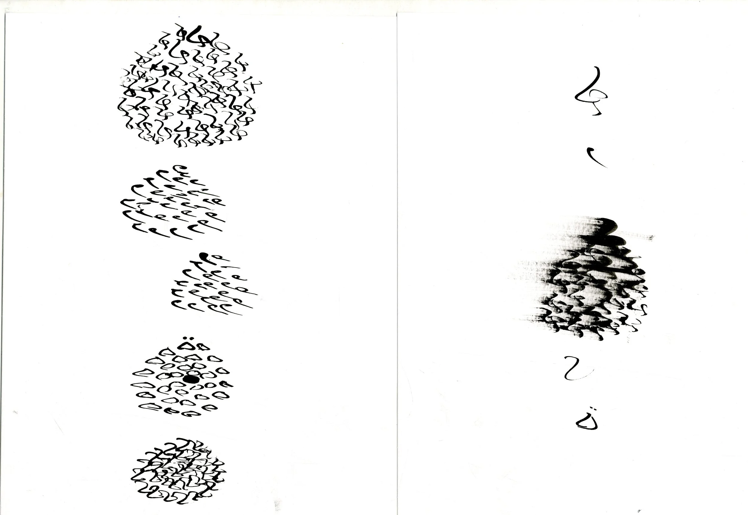 img015.jpg