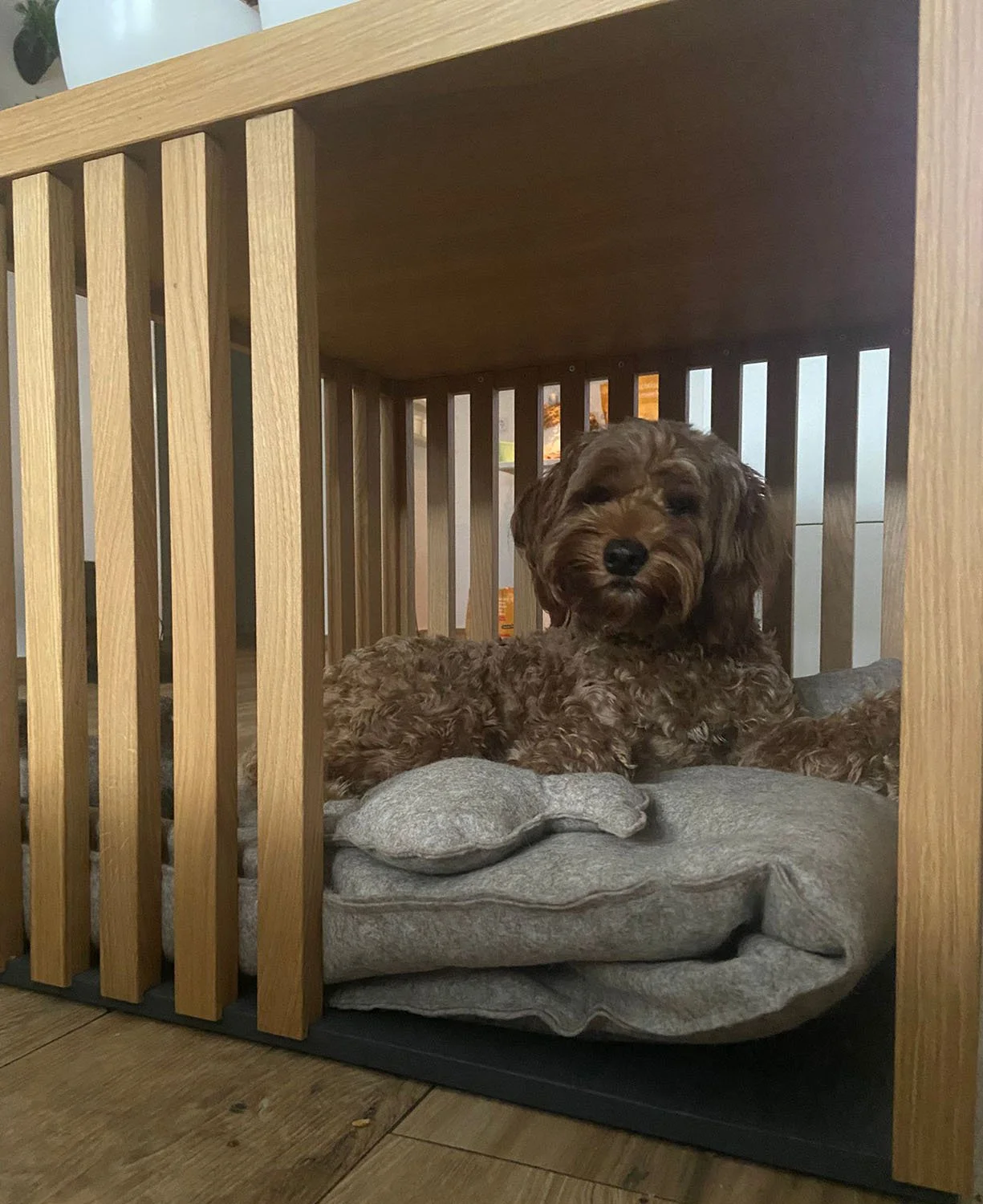 coachtisch_eiche 1.jpg