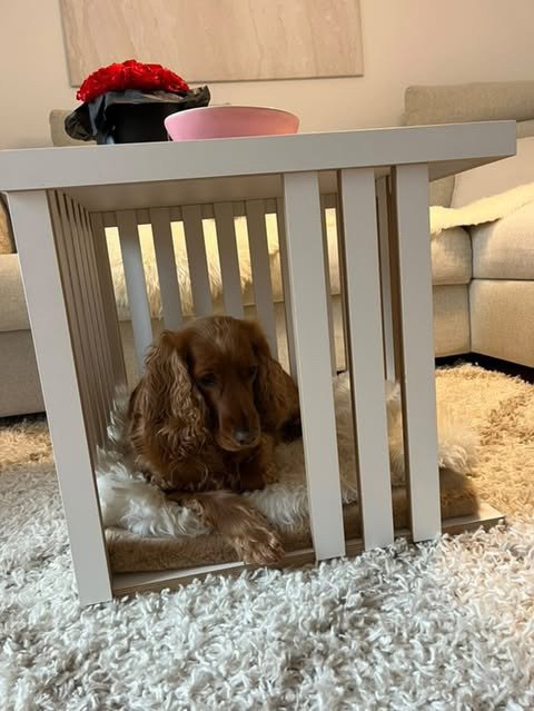 coachtisch_weiss 1.jpg