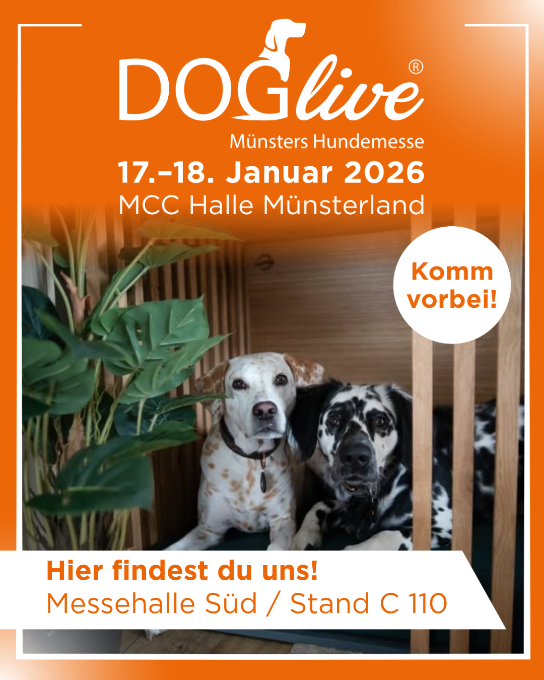 Pudeldesign® stellt aus…….