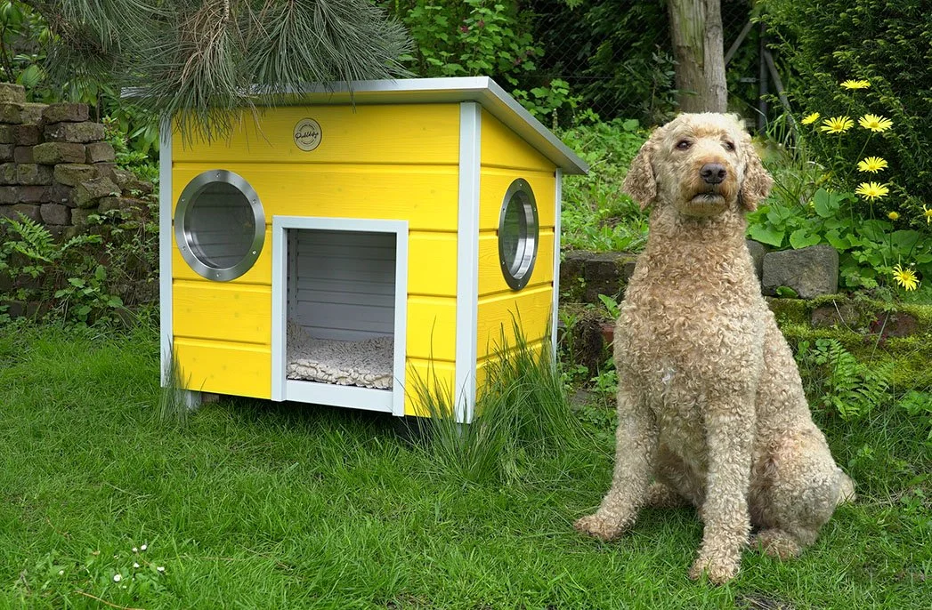 Hundehaus in gelb mit einem Hund daneben im Garten, umgeben von Pflanzen und Blumen.