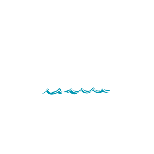 Logo met de tekst 'STELLA NOVA' en een onderstreping die eruitziet als watergolven, op een zwarte achtergrond.