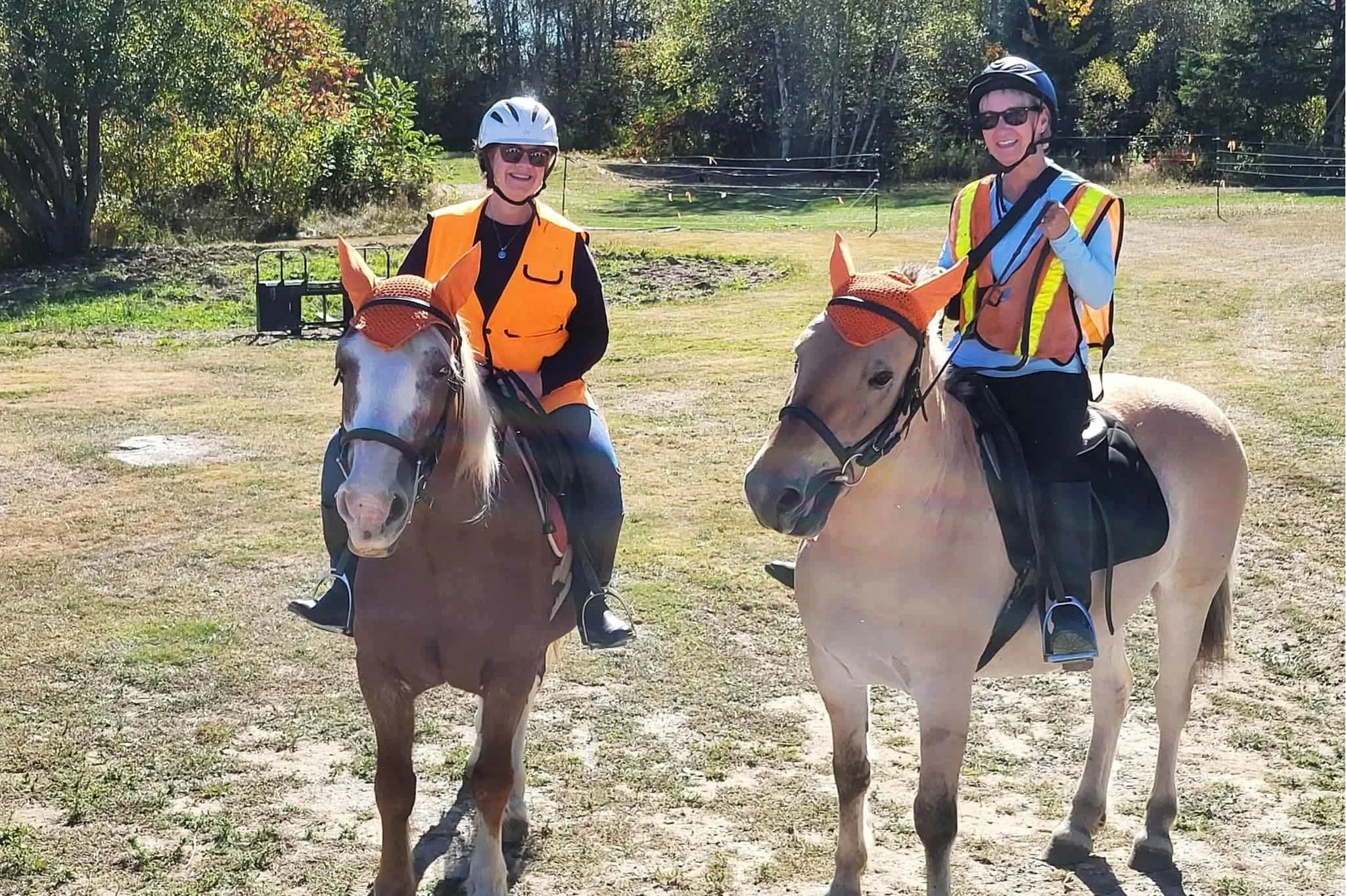 Unbridled Friendship: An Escape to the Fredericton Capital Region