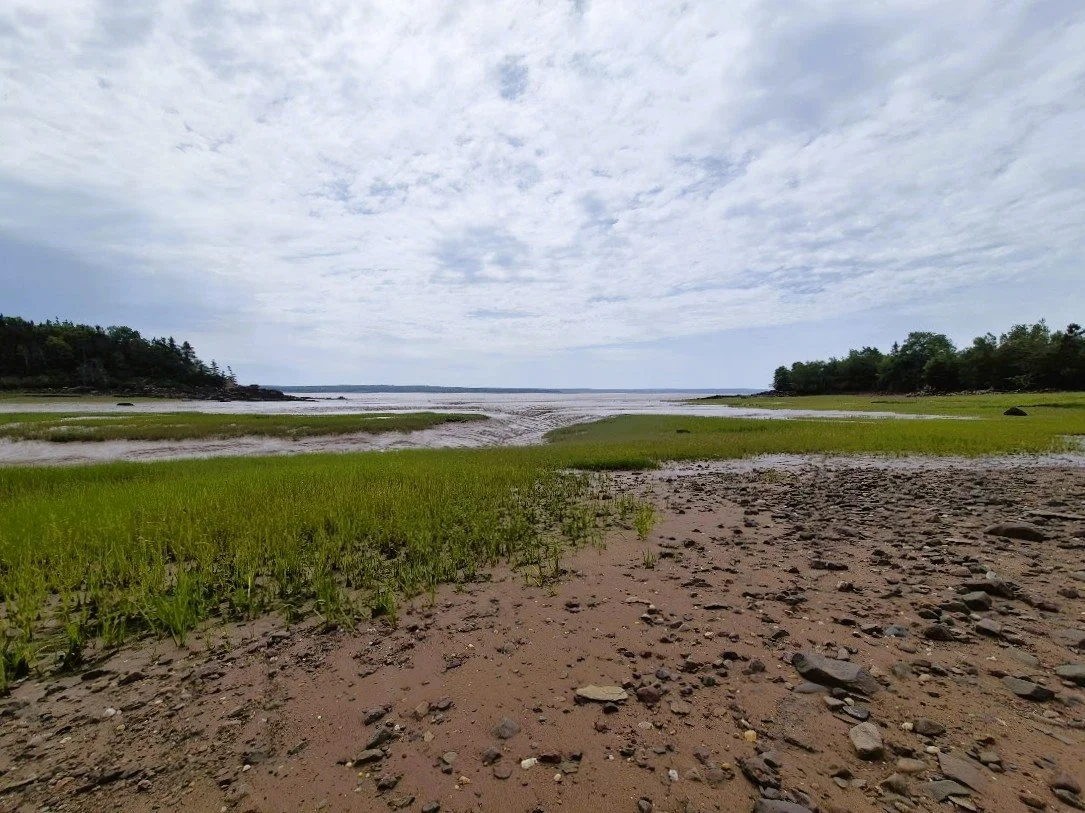 mudflats 2.jpg