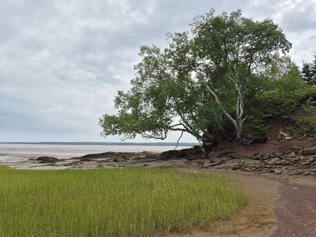 right side beach.jpg
