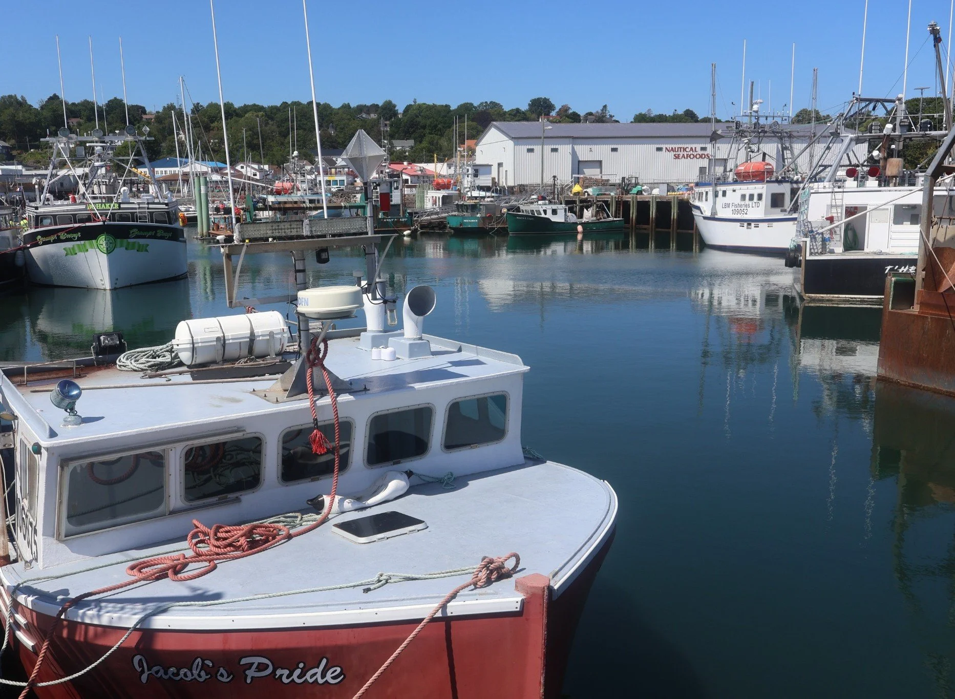 Boats at Digby Fisherman's Wharf