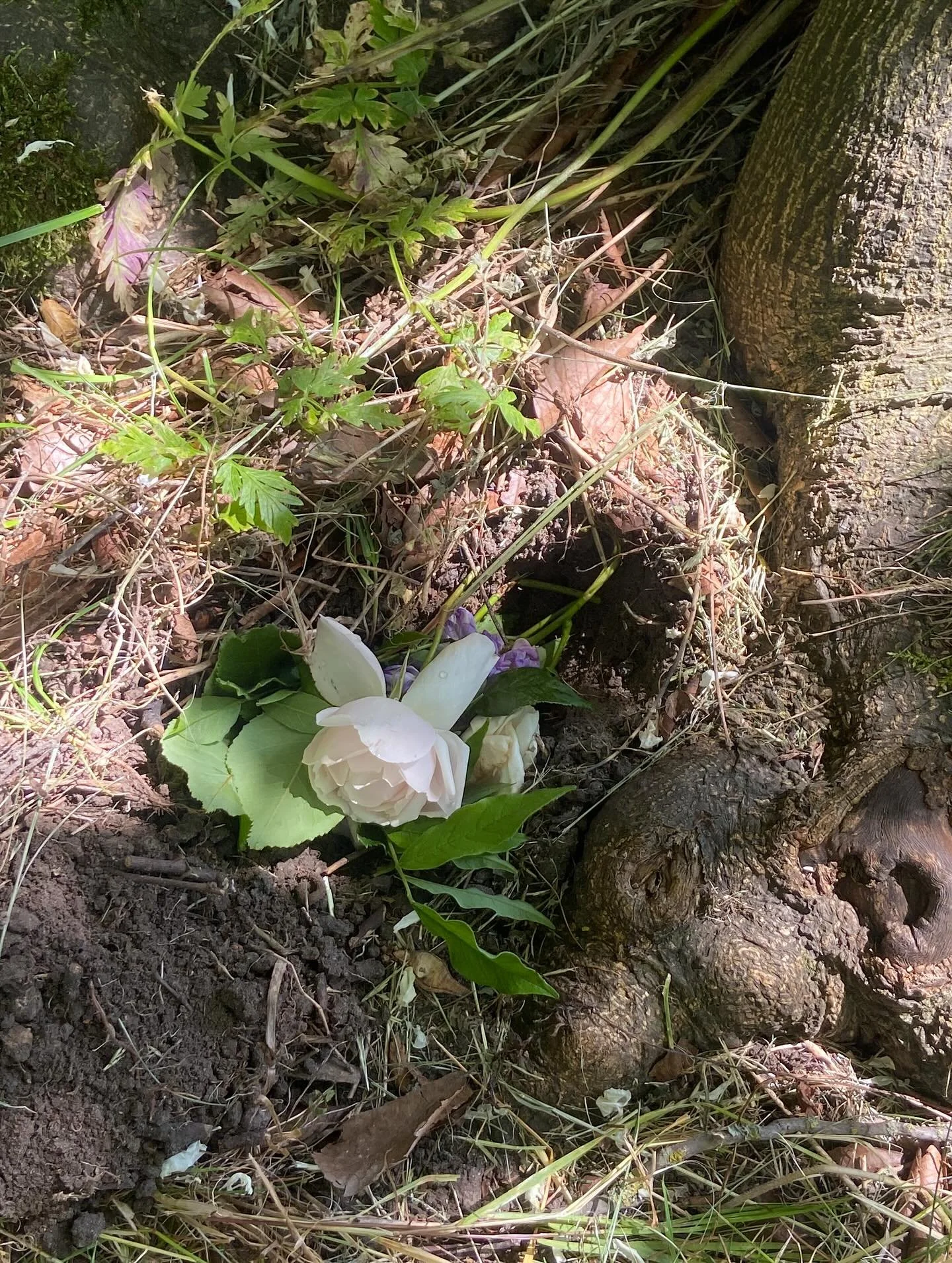 At miste en graviditet og gennemg&aring; en ufrivillig abort &eacute;n gang f&oslash;ltes ub&aelig;rligt. Nu at have mistet endnu en graviditet og gennemg&aring;et endnu en abort f&oslash;les umenneskeligt. Jeg t&aelig;nker p&aring; de kvinder og par