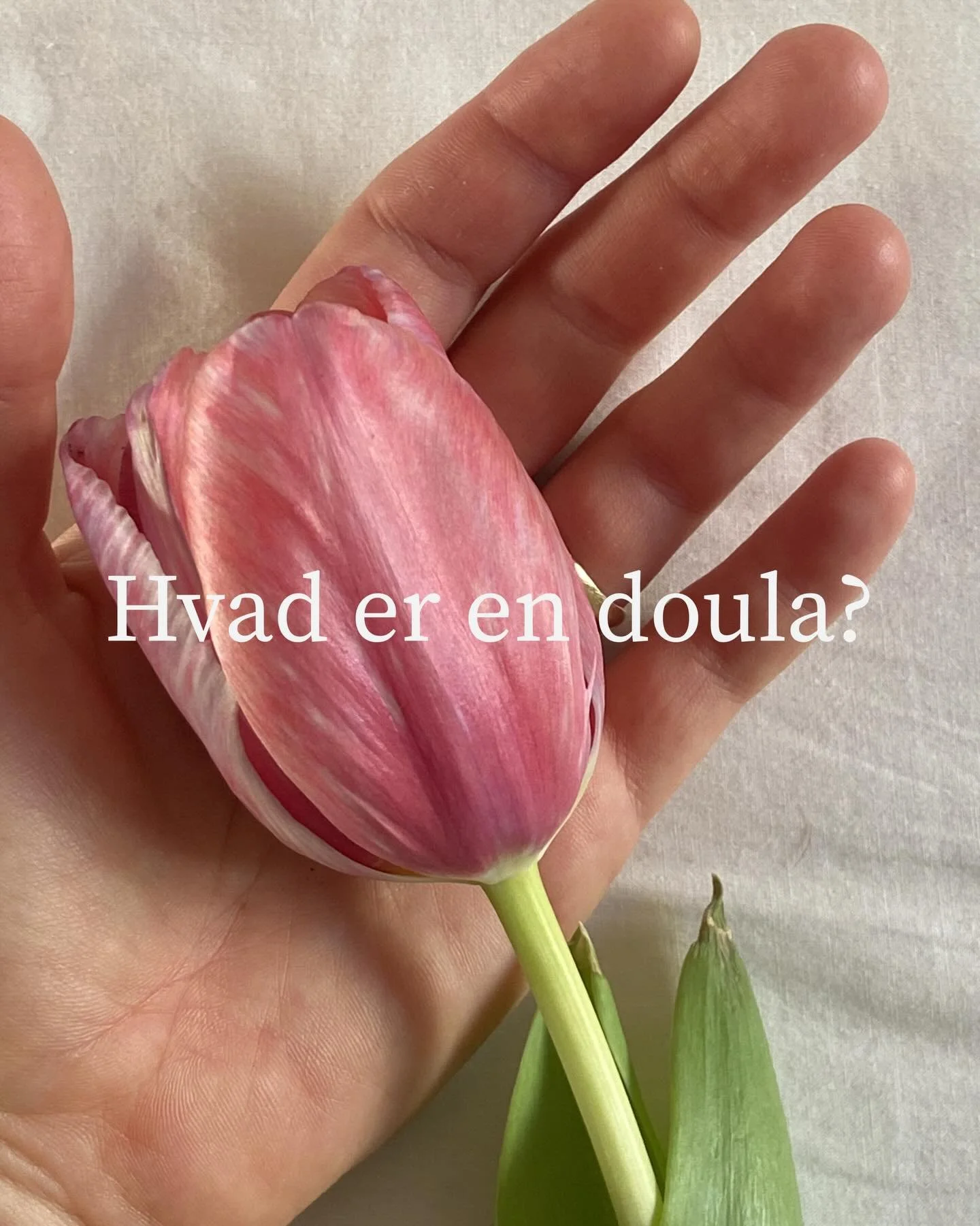 Hvad er en doula? L&aelig;s med i opslaget her, hvis du er nysgerrig p&aring;, hvad en doula egentligt er, og hvordan jeg kan st&oslash;tte og hj&aelig;lpe dig som doula 🌷

Hvis du &oslash;nsker at h&oslash;re mere eller er interesseret i at f&aring