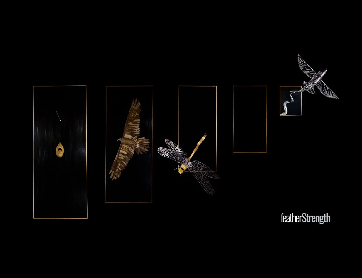 featherStrength Panels