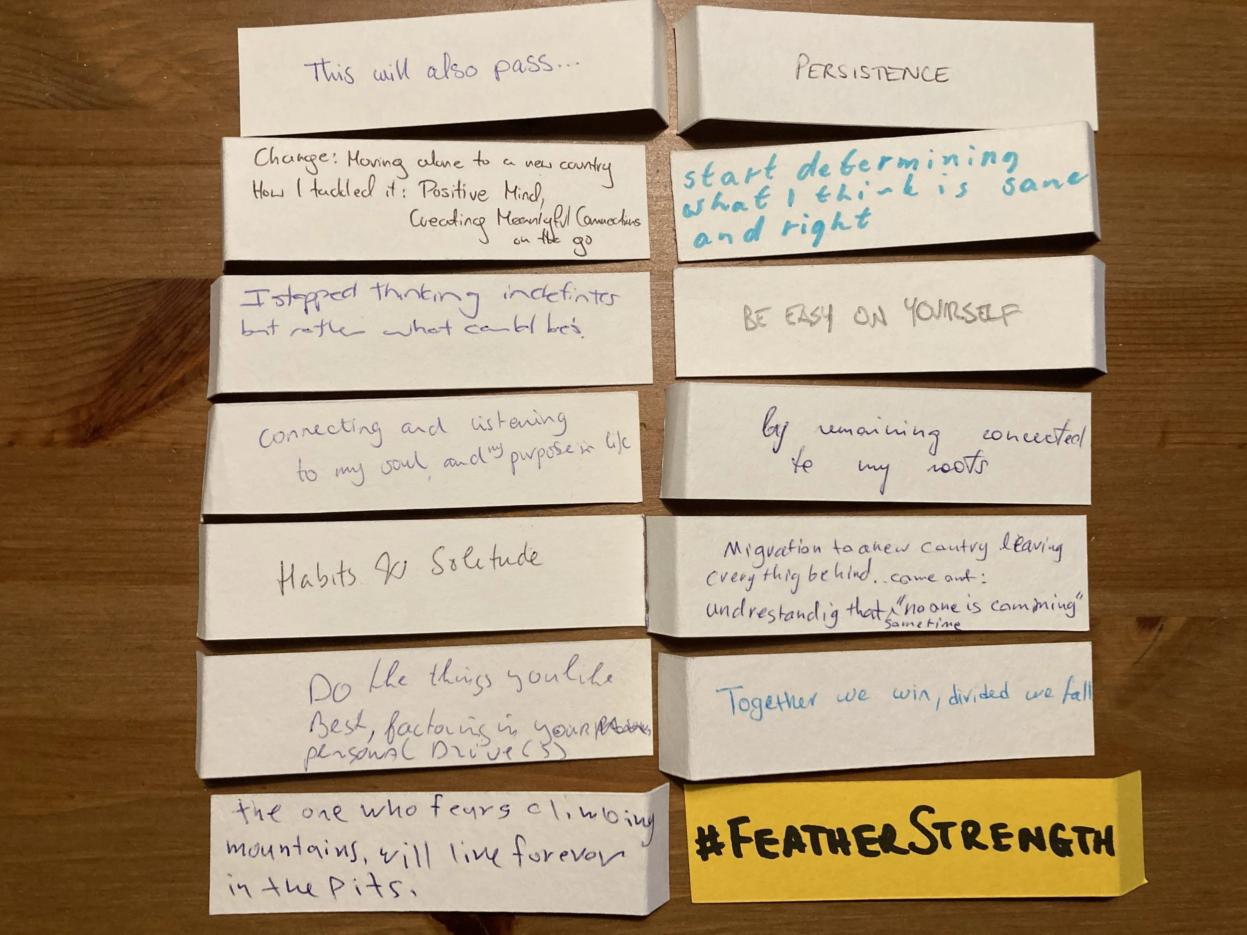 “the Art of featherStrength” (talk: Wageningen)