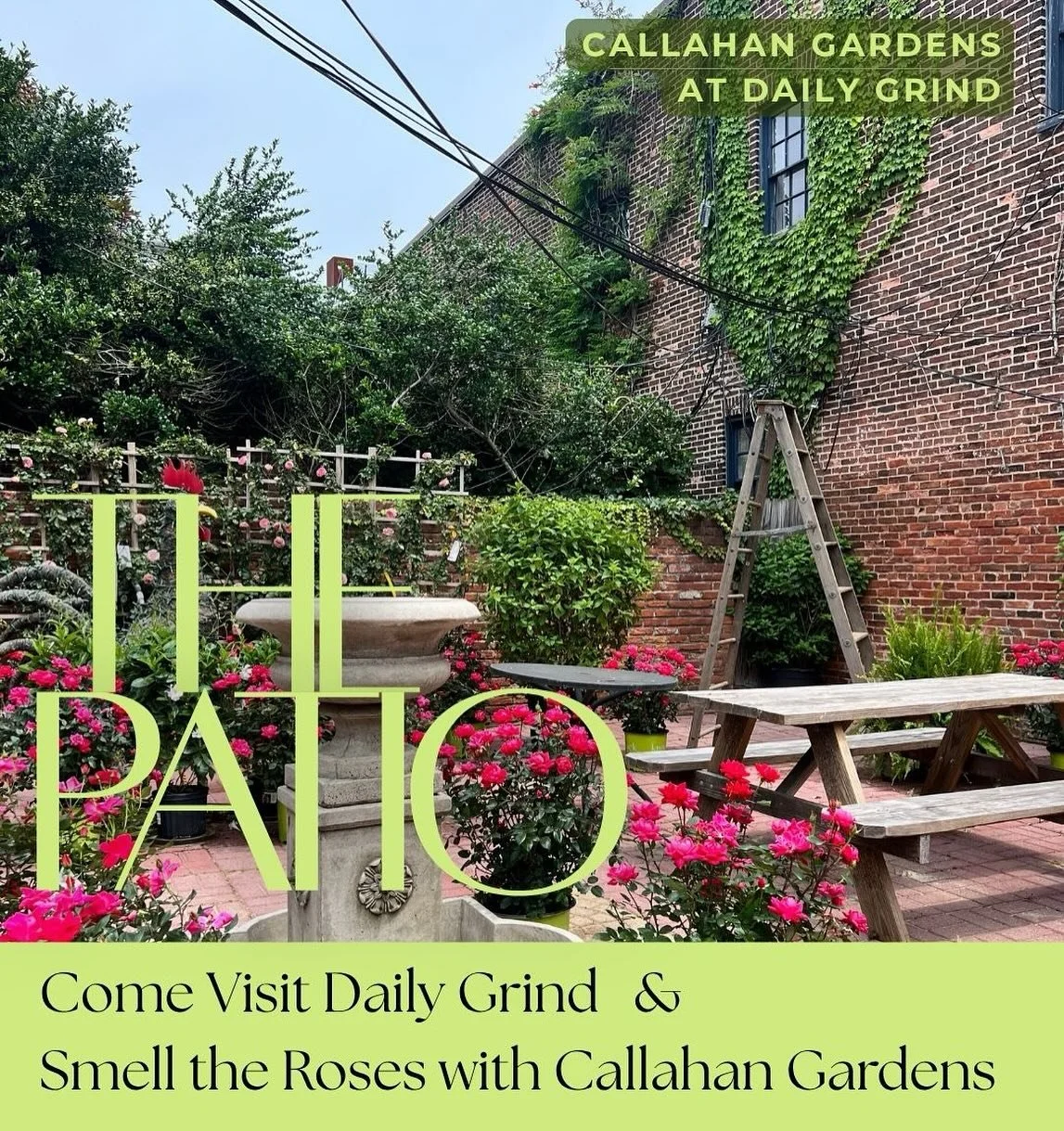 With the holiday weekend just around the corner, come enjoy the new plants in the patio @dailygrindfells