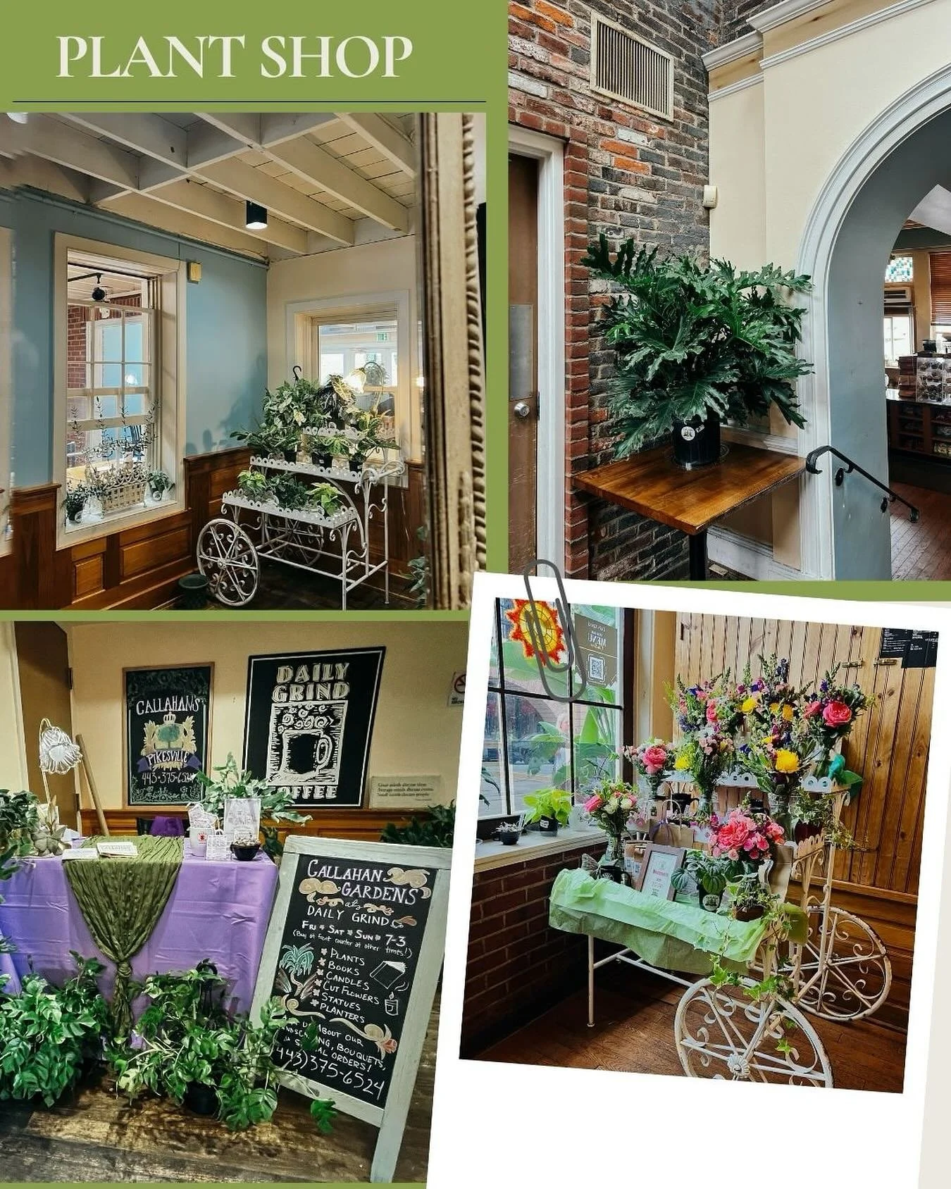 We&rsquo;re Open from Wednesday to Sunday 9-5
Come see us!