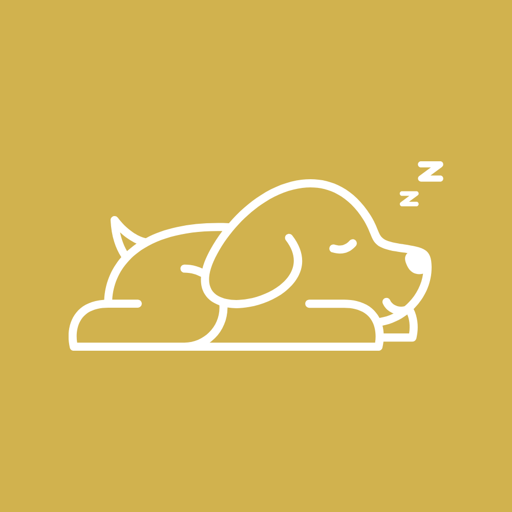 Illustration eines schlafenden Hundes, der eine Übernachtungsbetreuung für Hunde darstellt.