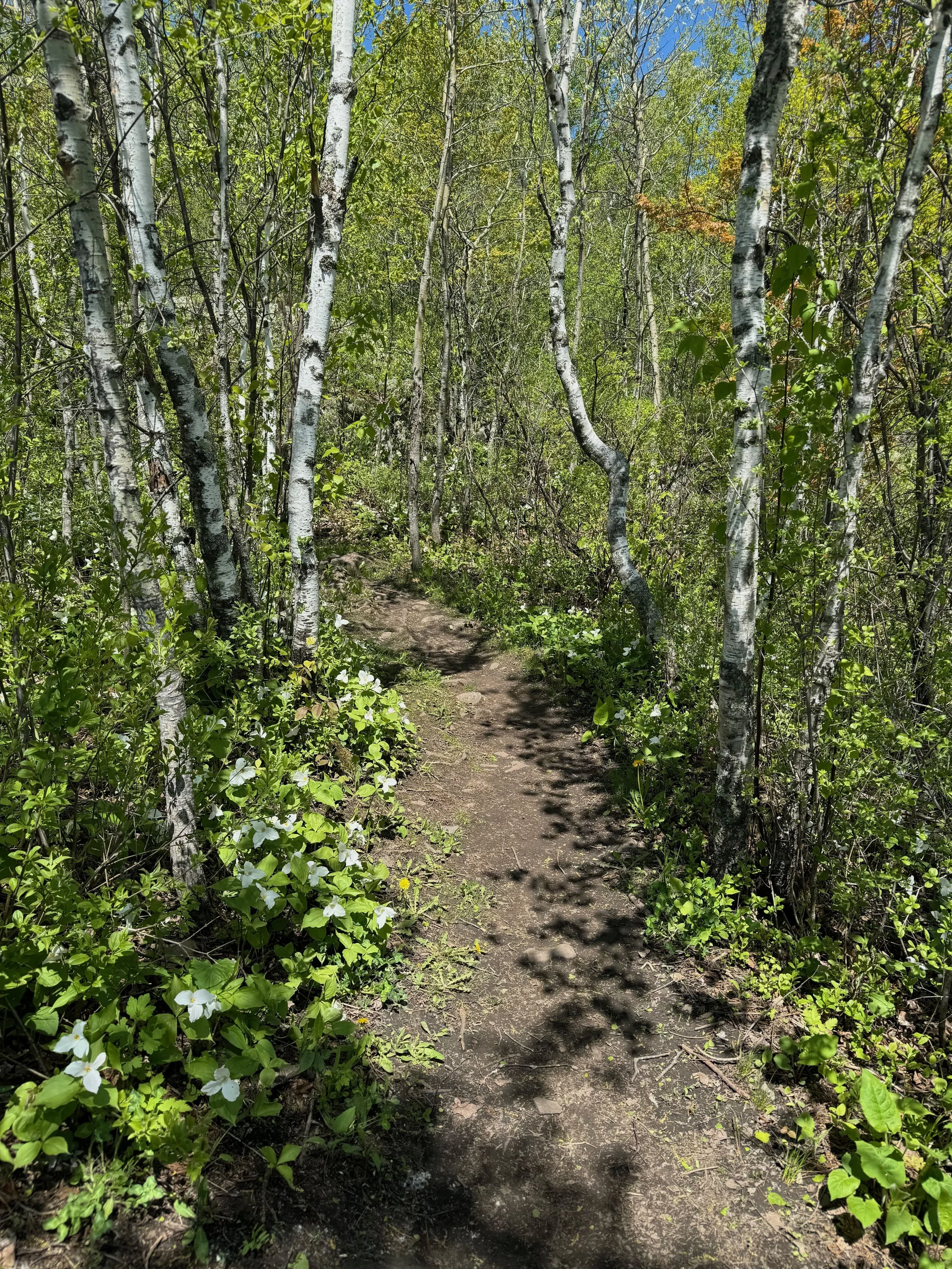 The Inner Work of Asking (Part 2): Relationship to Mission