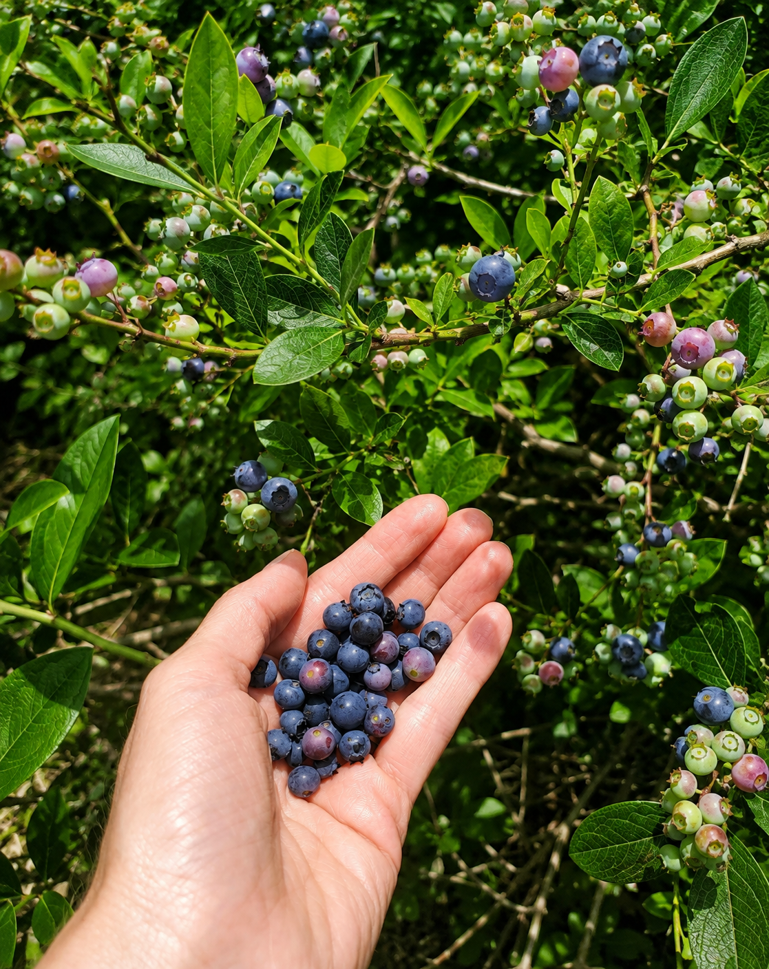 The Inner Work of Asking (Part 3): Do We Trust Generosity?