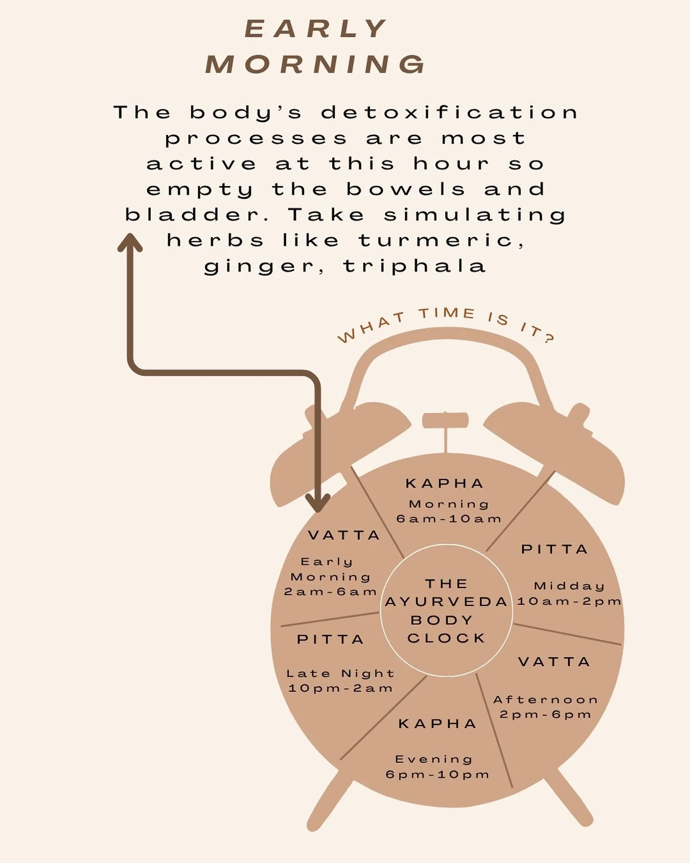The body&rsquo;s natural detox and cleansing processes are most active during these quiet hours. Vatta&rsquo;s light, subtle energy supports renewal- making this the ideal time for deep rest or meditation.