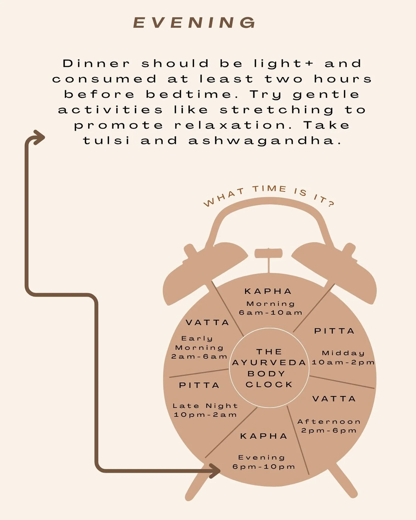 The evening hours are ruled by Kapha- bringing heaviness and a natural winding down of energy. This is the perfect time to eat light dinner, slow your pace and create a soothing evening routine🐌