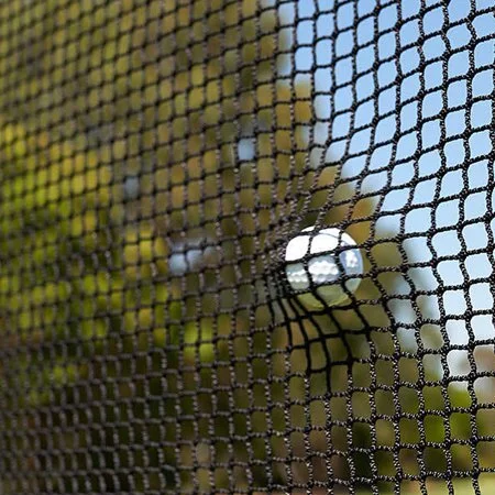 golf netting.jpeg