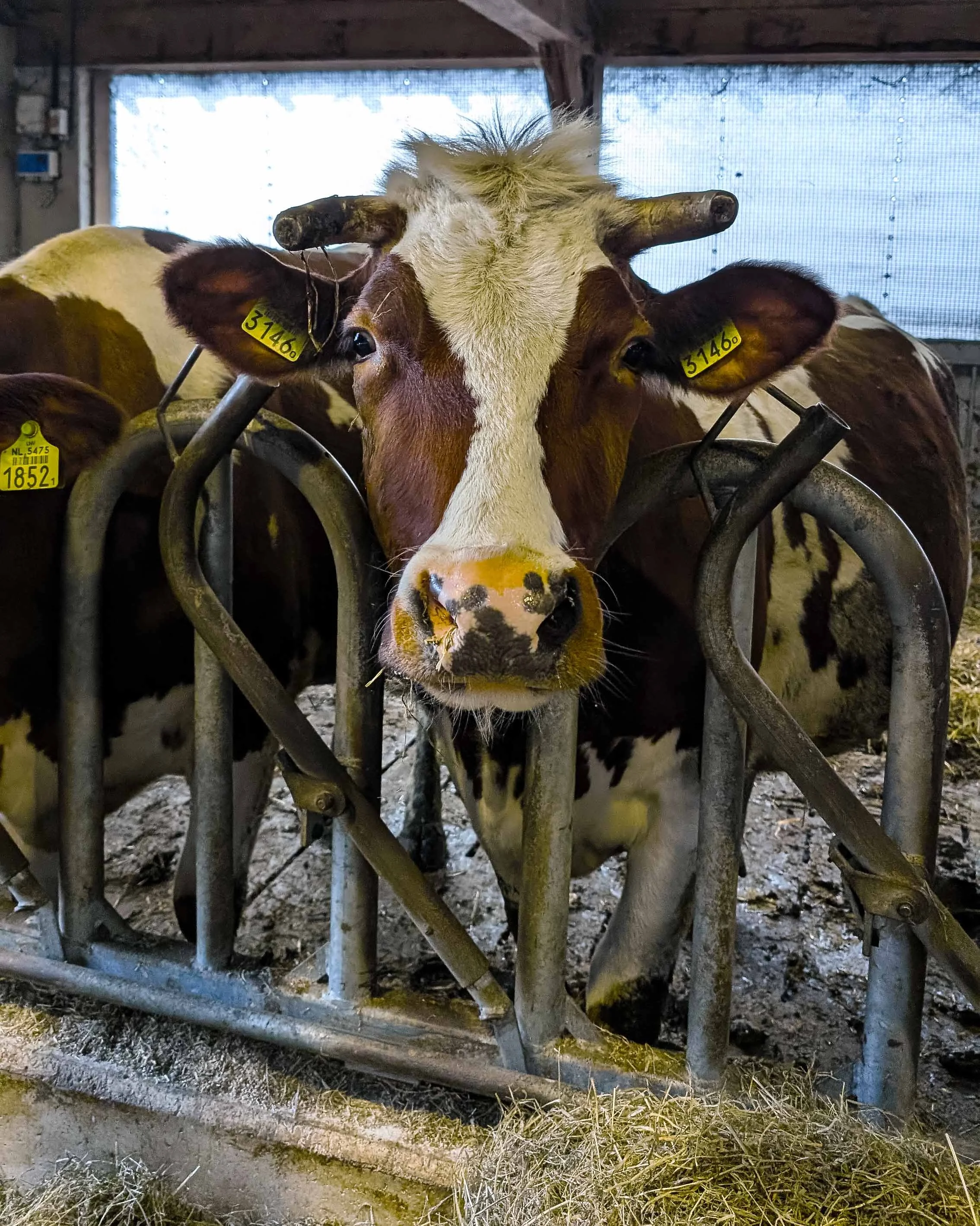 260304 over-amstel-11.jpg