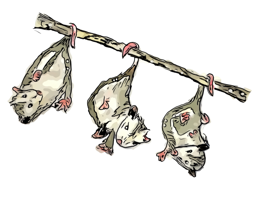 Cartoon illustration of three dead mice hanging upside down from a branch.