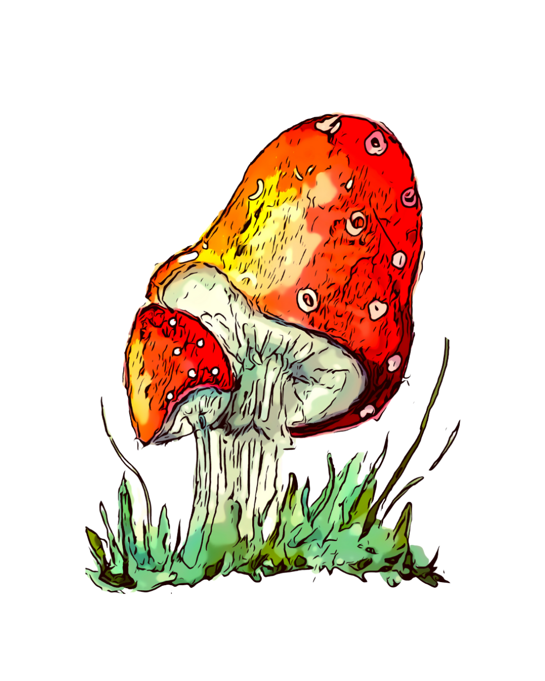 A stylized illustration of a red and yellow mushroom with white spots growing from green grass.