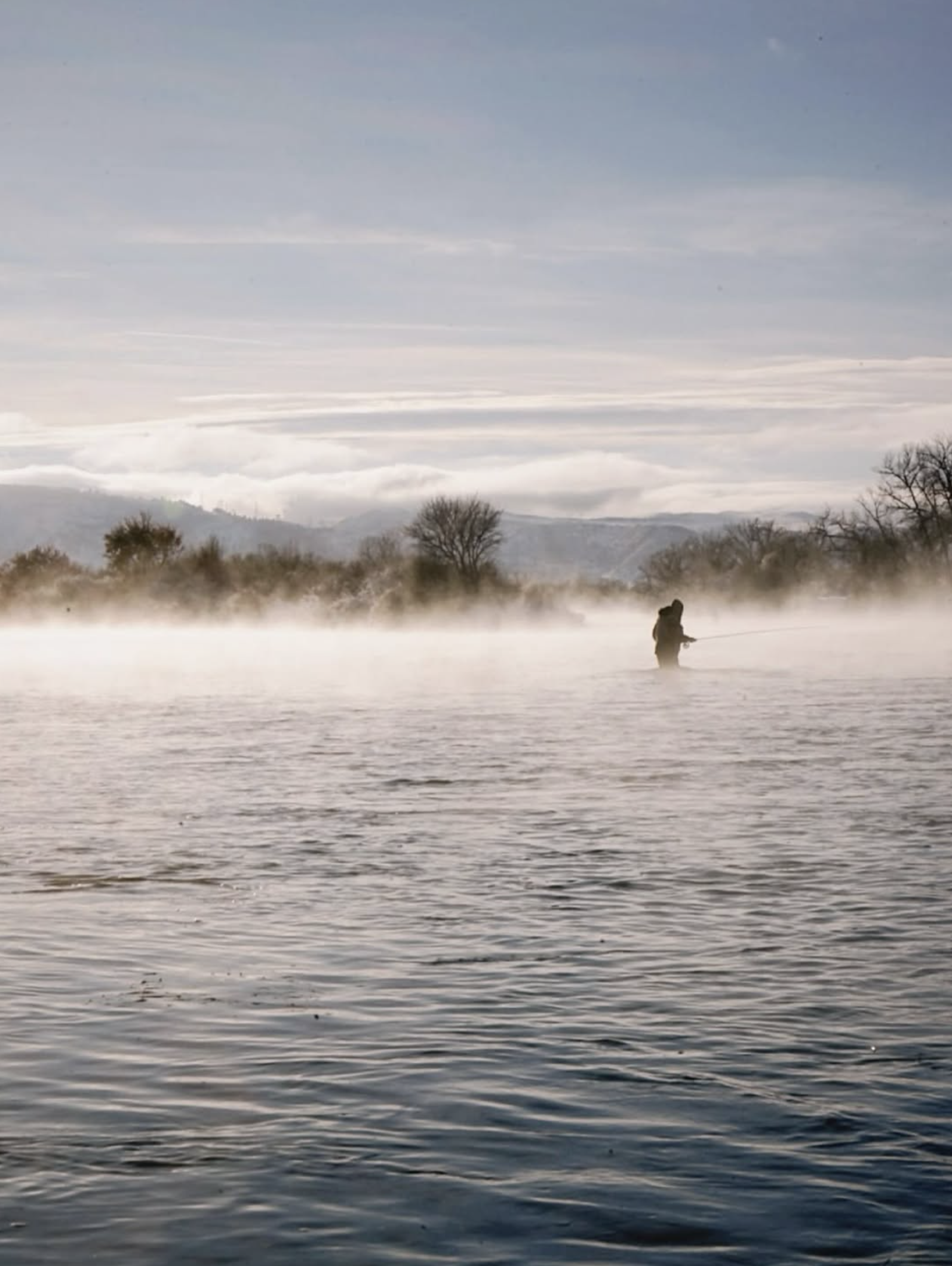 Screenshot 2026-02-01 at 3.16.12 PM.png