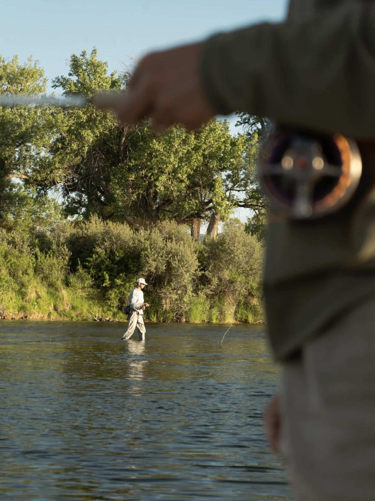 Screenshot 2026-02-01 at 3.16.20 PM.png