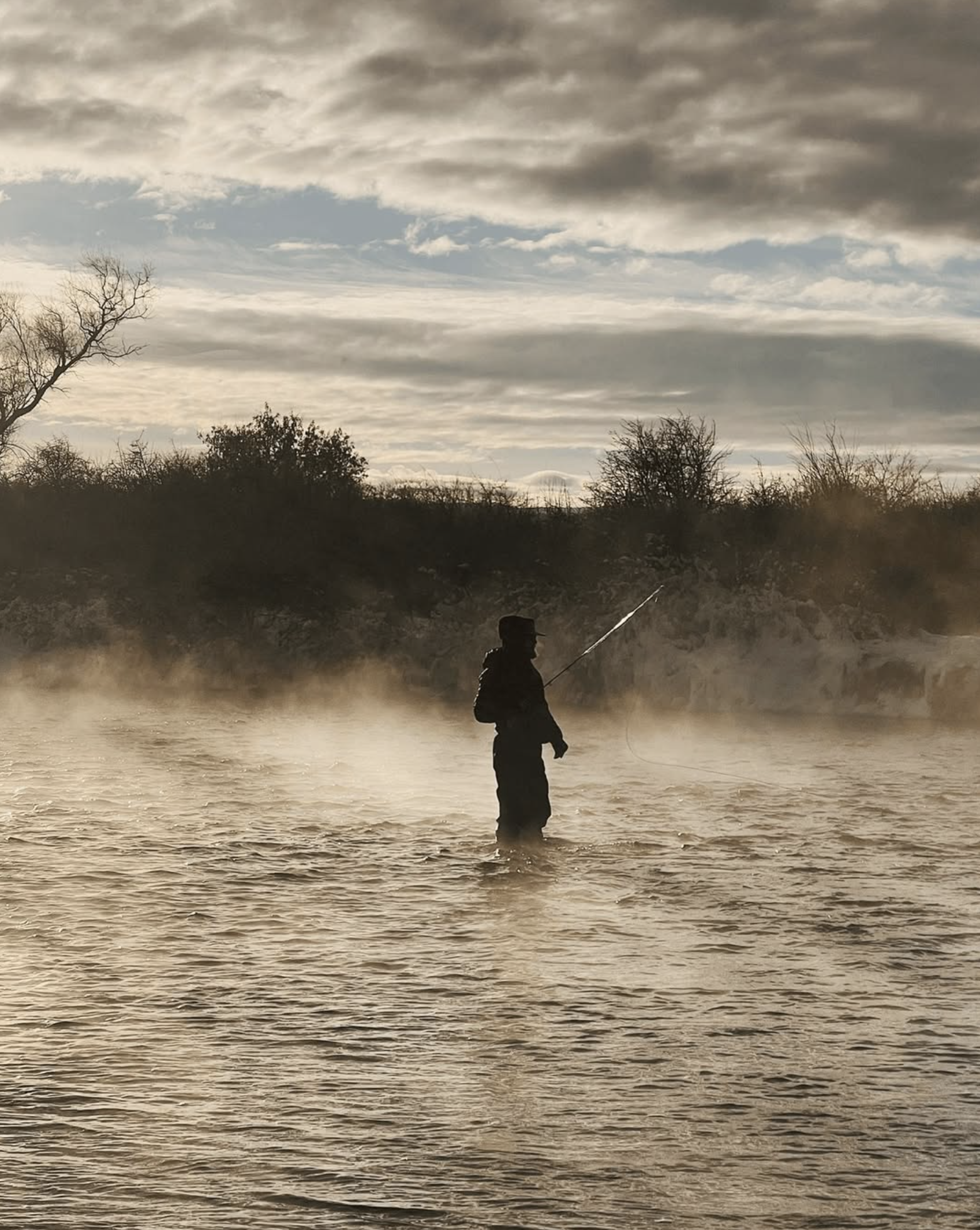 Screenshot 2026-02-01 at 3.15.49 PM.png