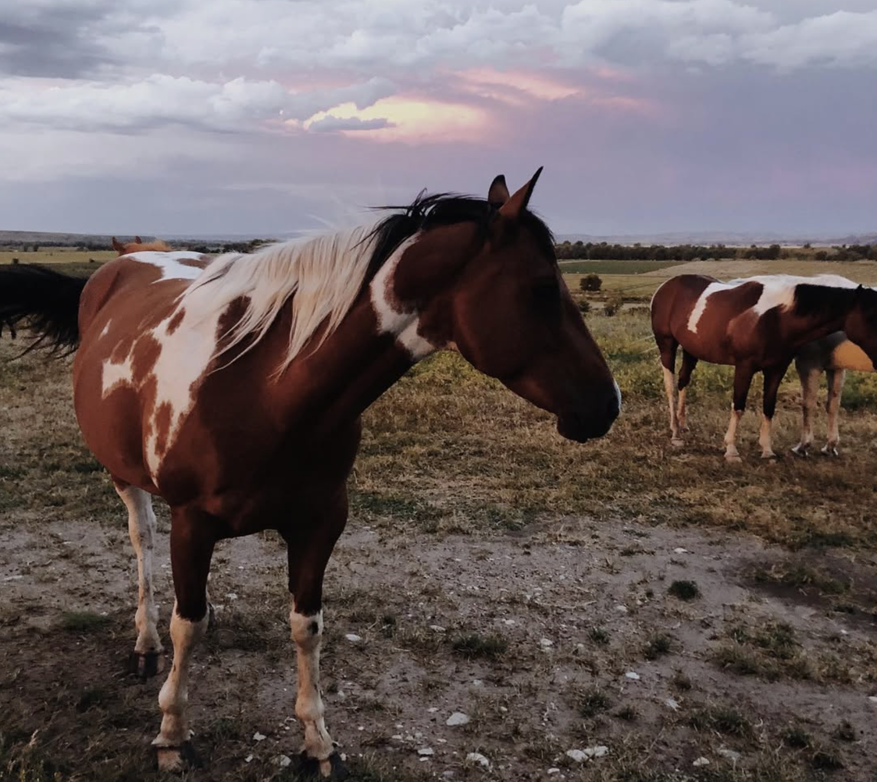 Screenshot 2026-02-01 at 3.18.52 PM.png