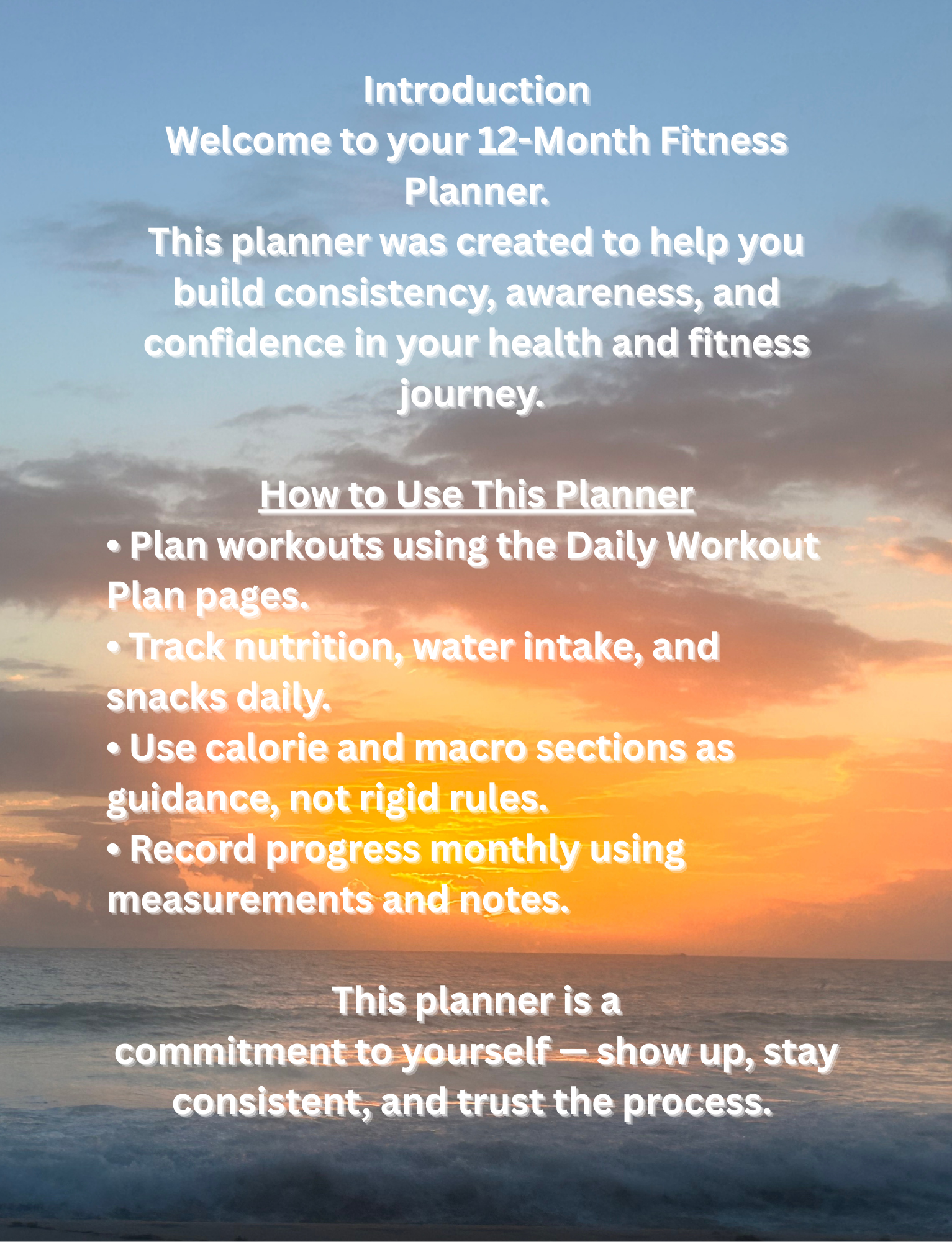 Gold Rose Simple Modern Cover 2024 Planner (8.625 x 11.25 in).png