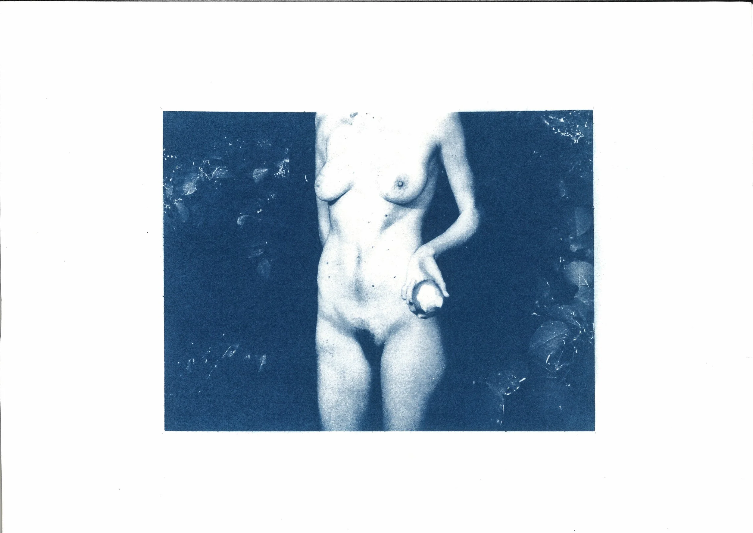 untitled-00001-3 copy.jpg