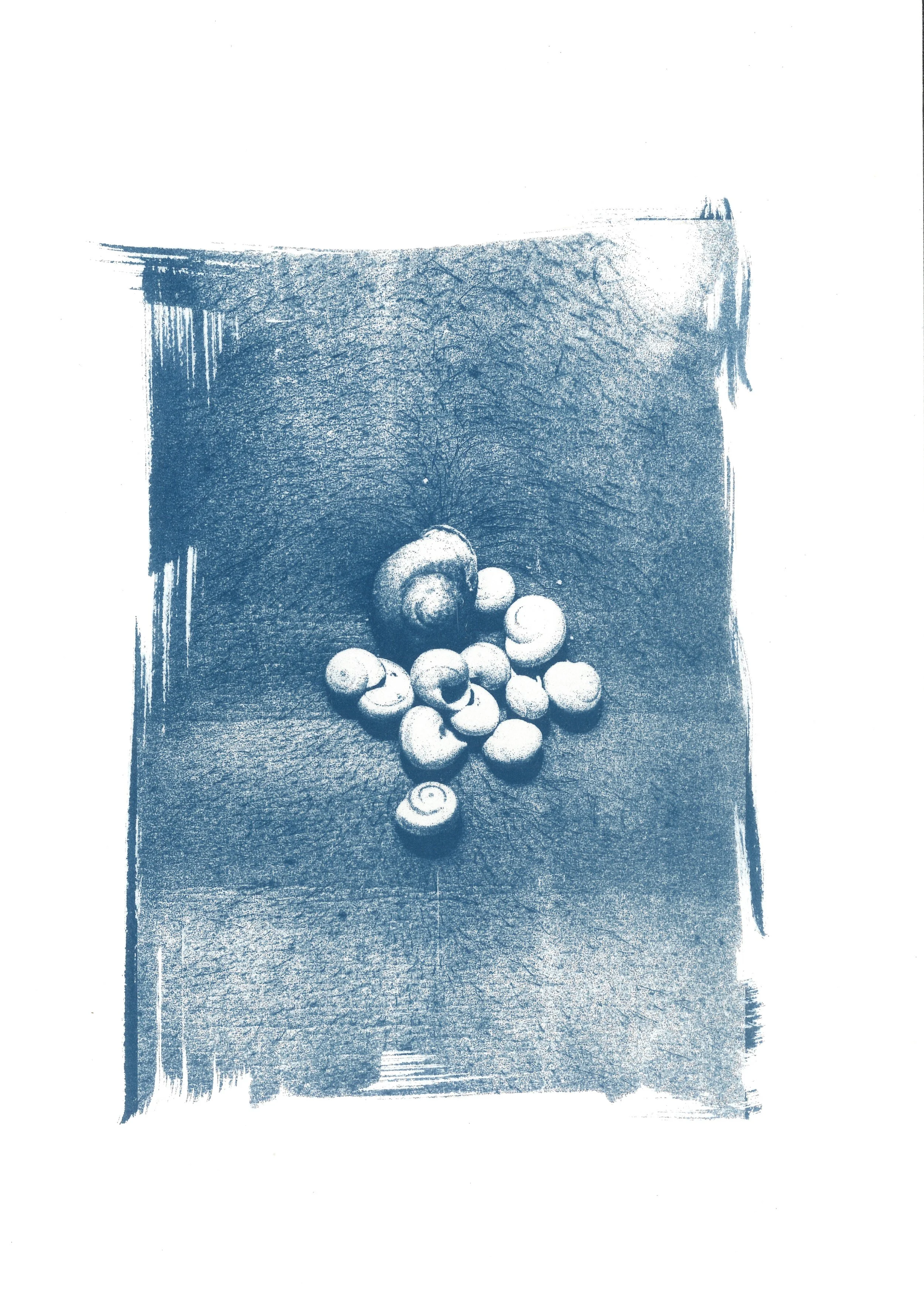 untitled-00001-12 2 copy.jpg