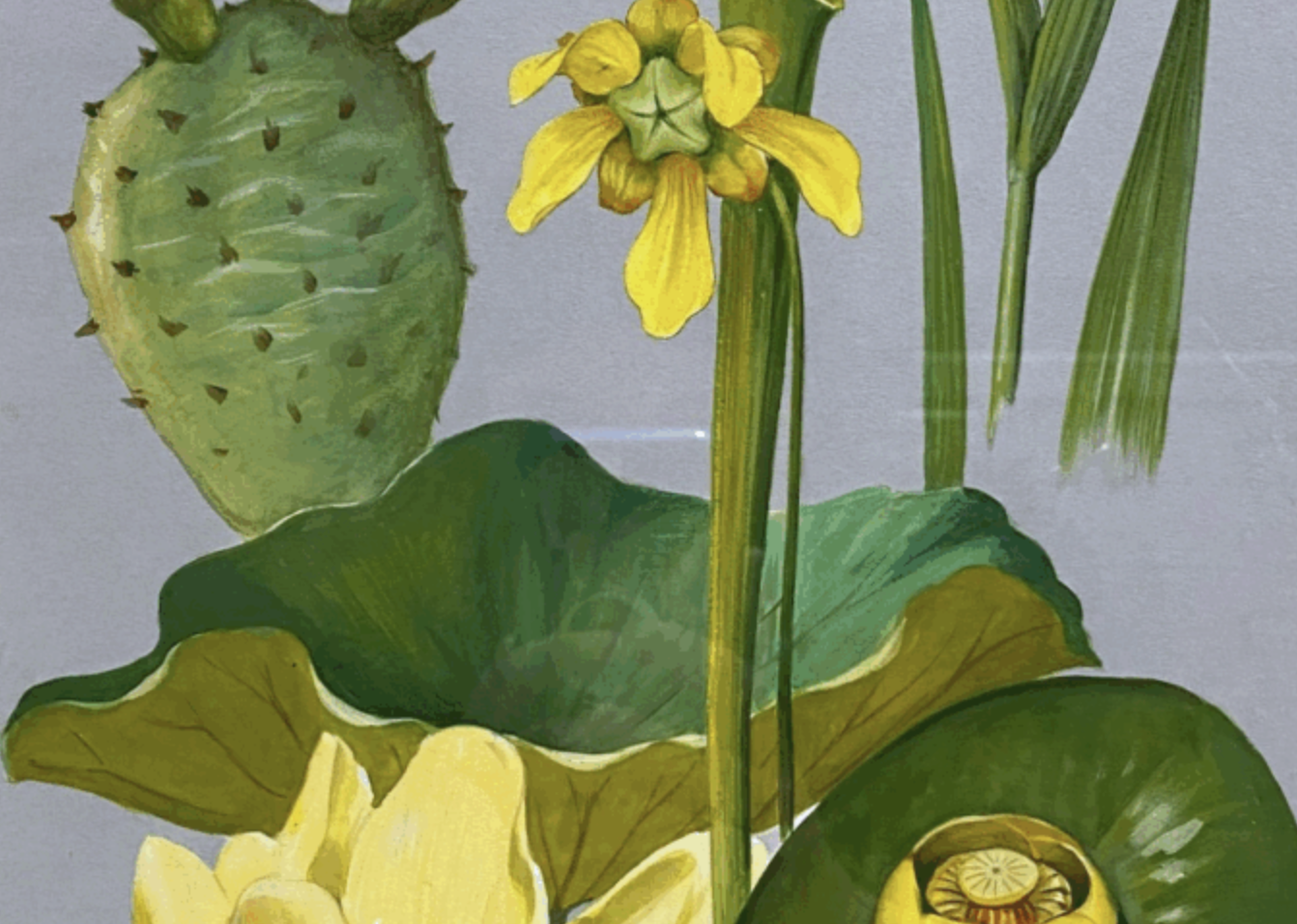 Call for Entries: Art that Matters to the Planet