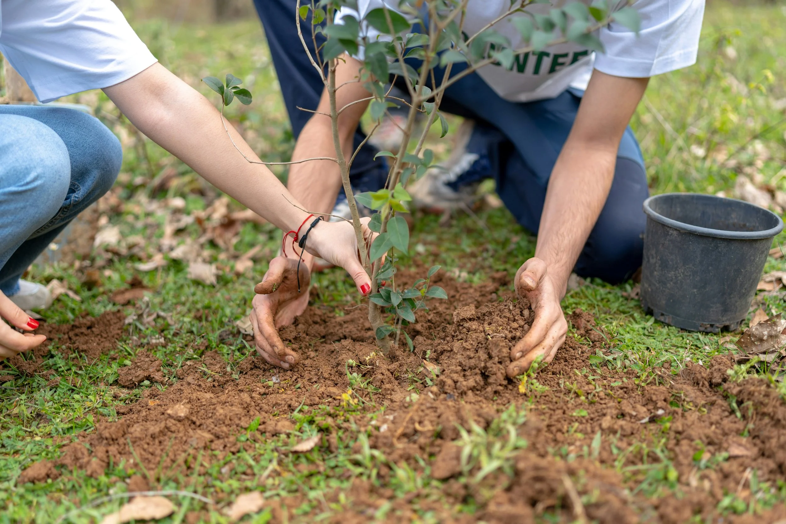 Planting Trees, Planting Wellbeing: My Day Volunteering with Devon Wildlife Trust