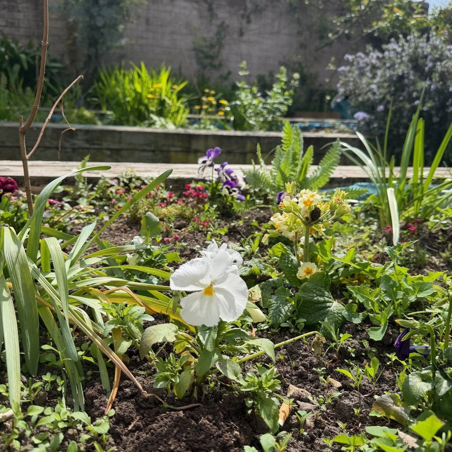 The natural world has a way of grounding us. 🌍

A bit of fresh air.
The sound of leaves or birds.
A moment away from busy spaces.

These small things can make a real difference to how we feel.

Looking after the environment isn&rsquo;t just about th