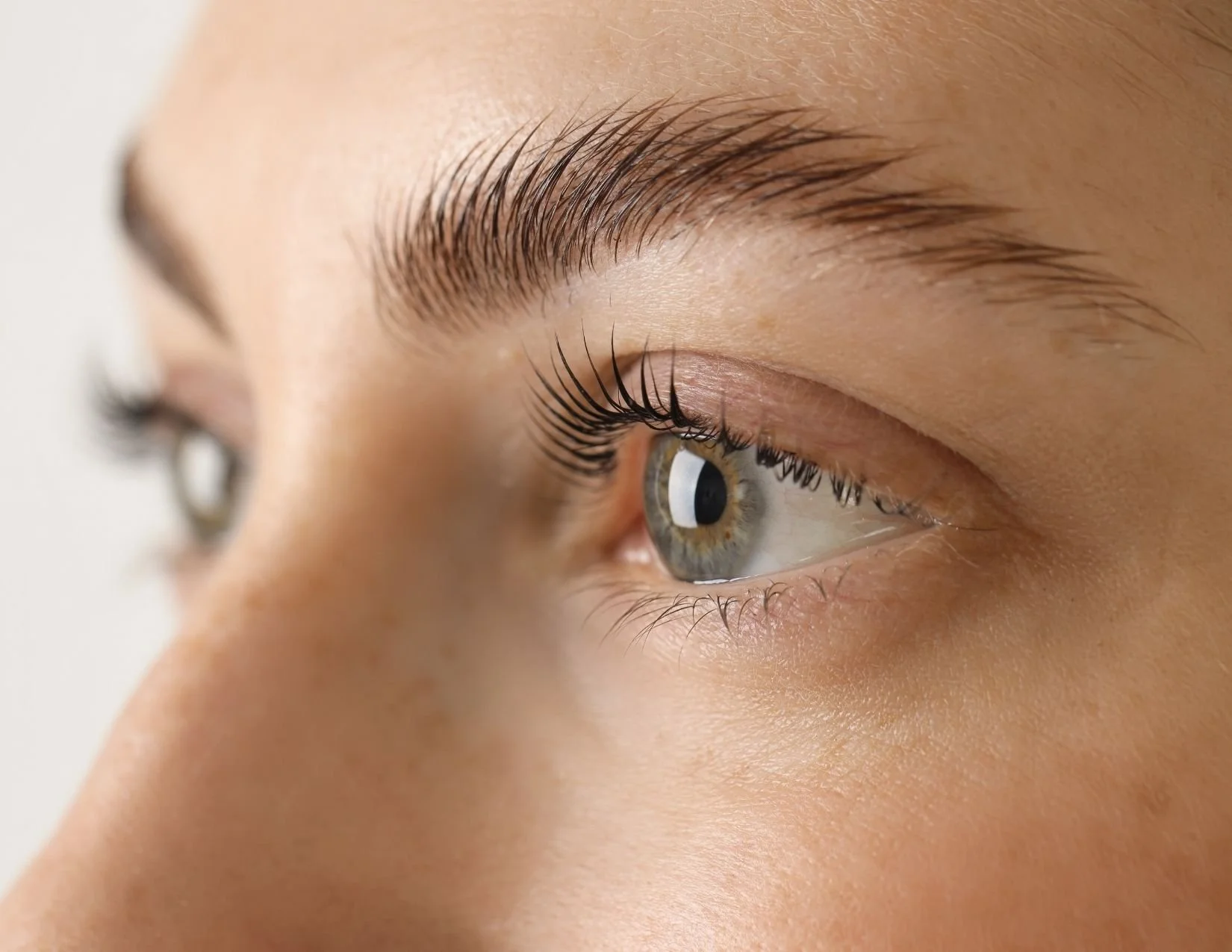 Close-up of a person’s eye with detailed focus on the eye, eyelashes, and eyebrows.