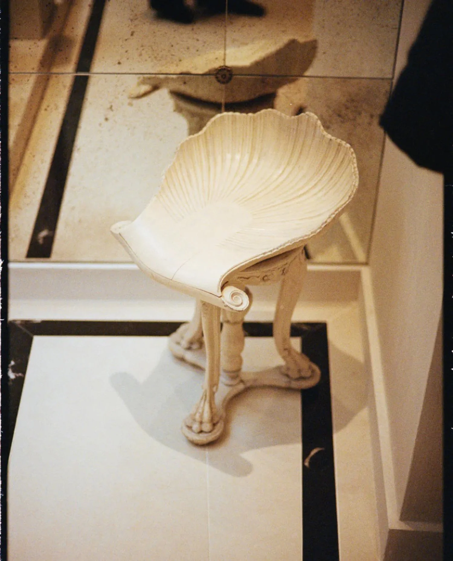 A decorative chair designed to look like a seashell, with a curved shell-shaped backrest and ornate legs, positioned on a reflective surface.