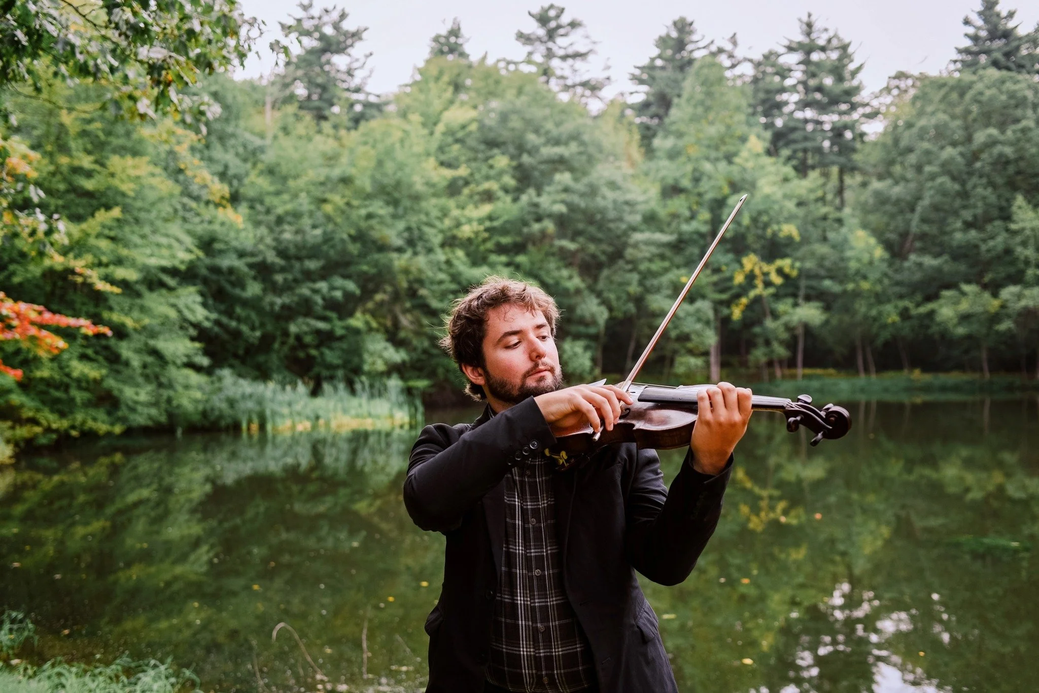 Brendan Lesavage, Violin