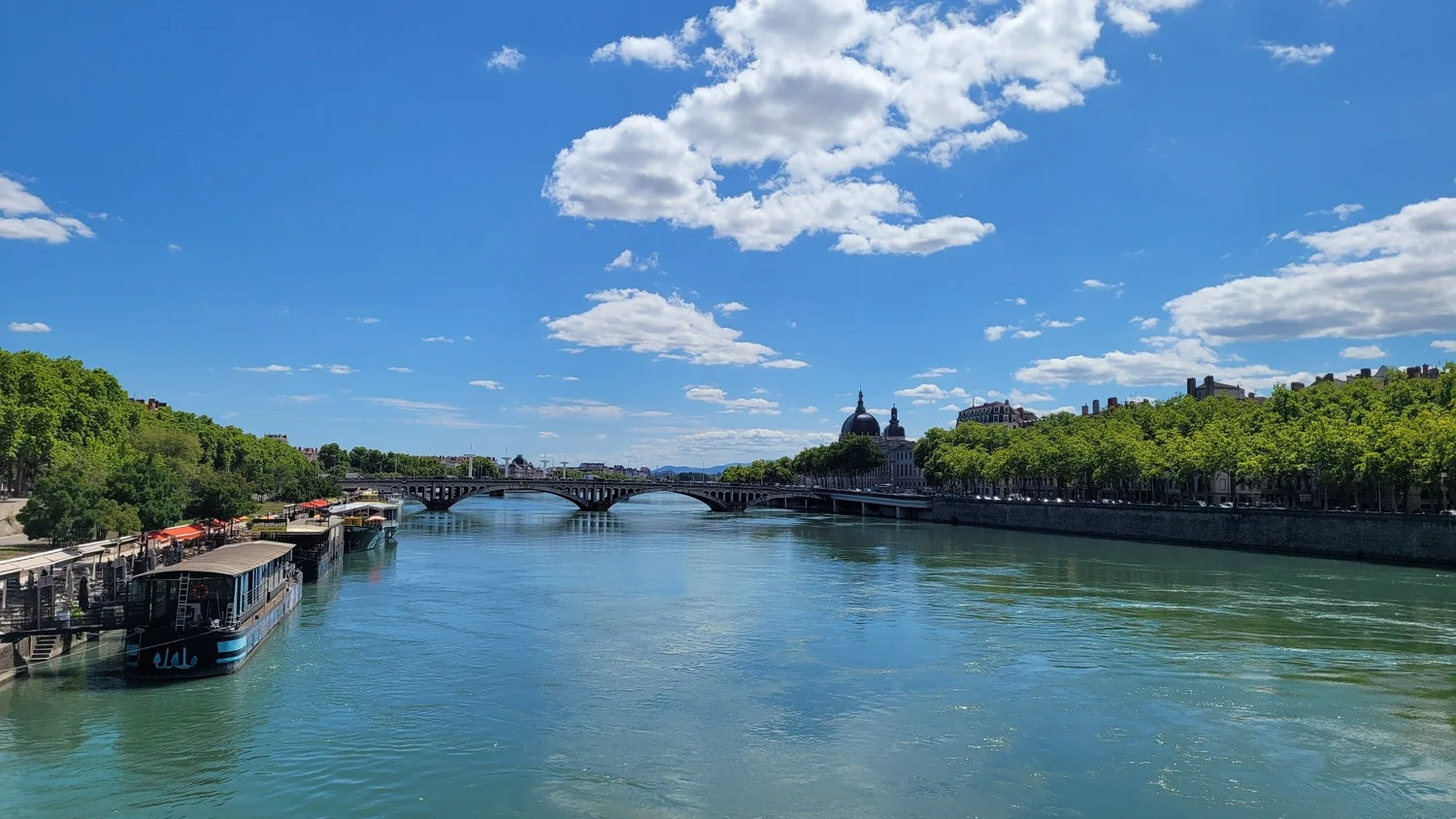 Rivers and bridges in Lyon