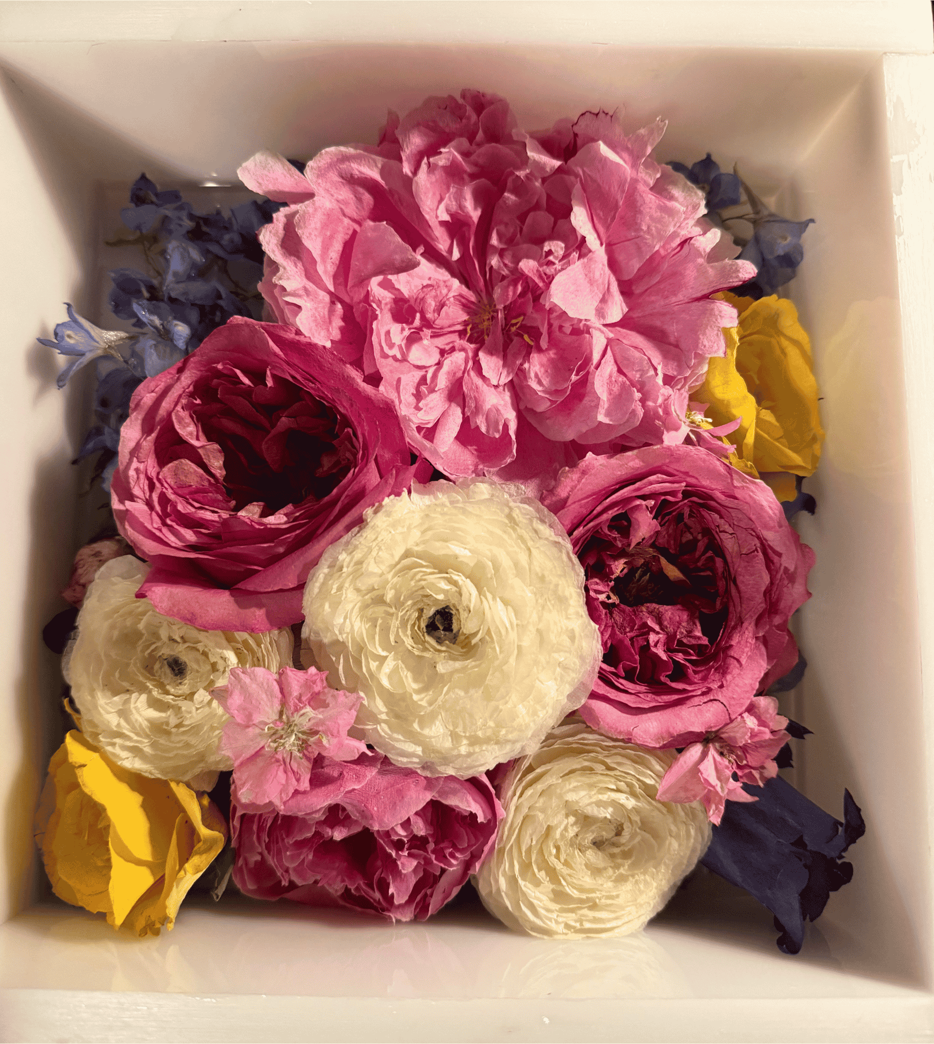 How to Preserve Your Wedding Bouquet: A Bride’s Guide to Keeping Your Flowers Forever
