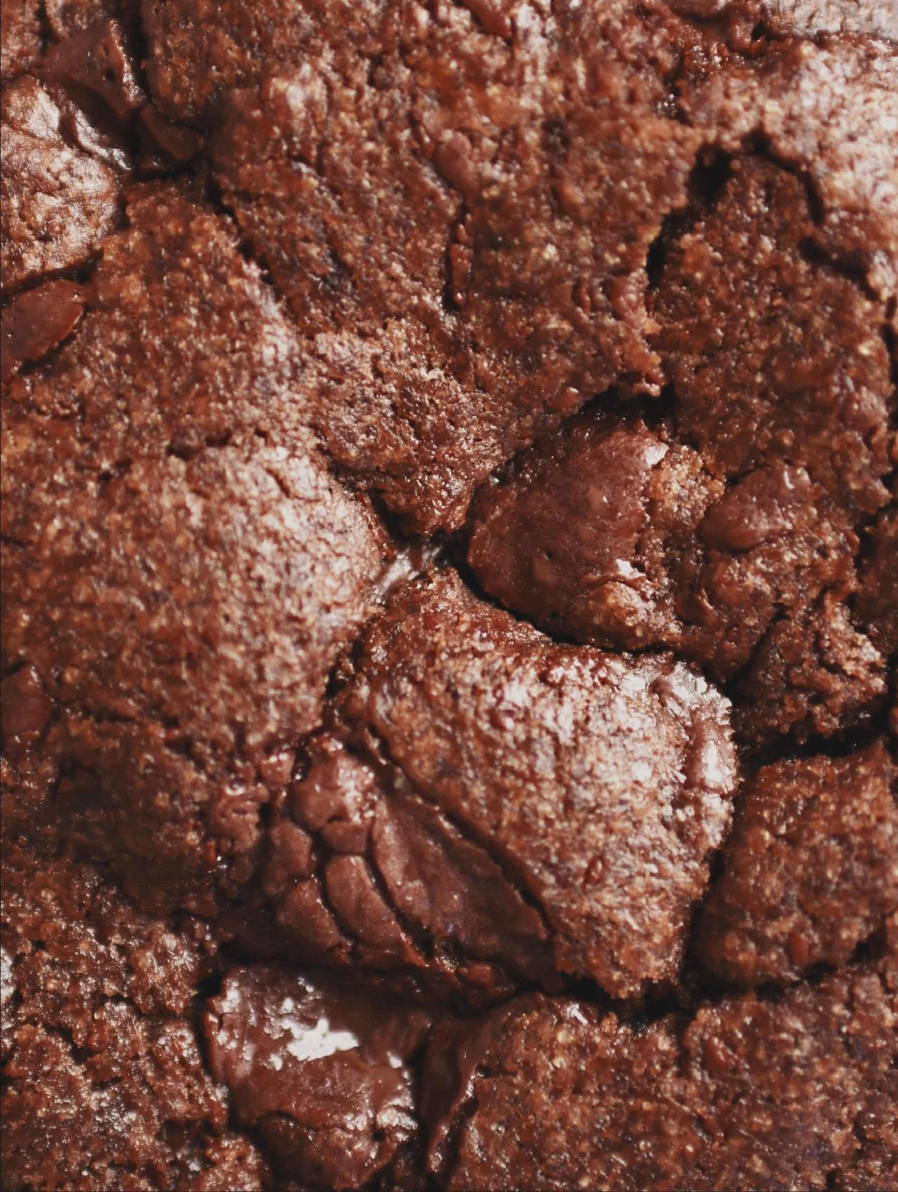 DARK SALTED CHOCOLATE AND ESPRESSO COOKIE ATELIER CREAM